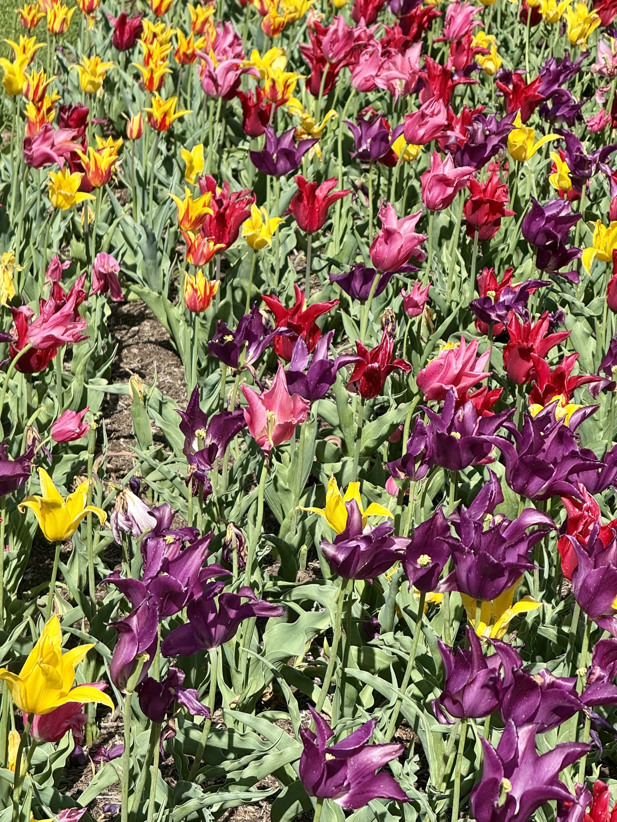 Gardens