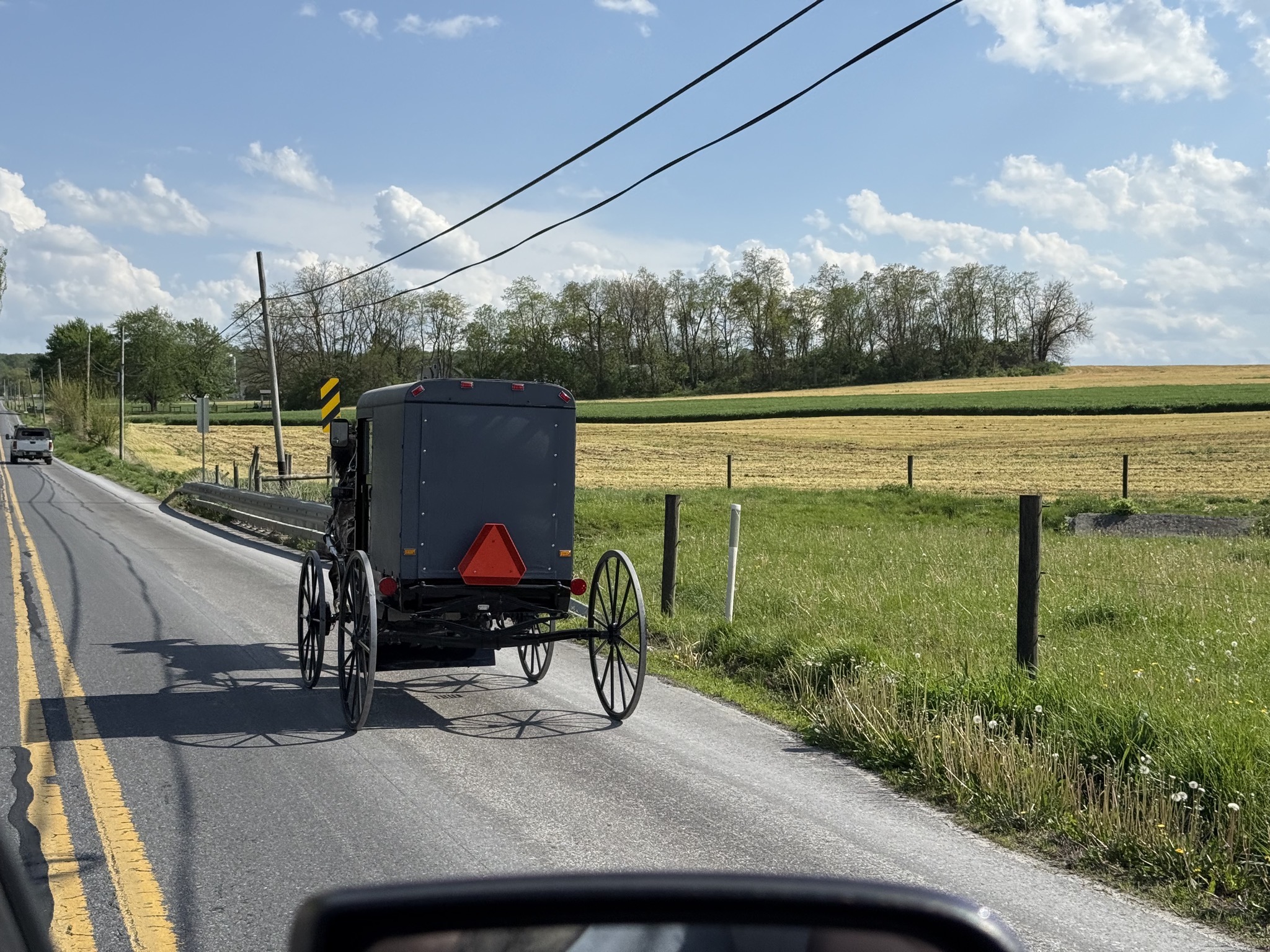 Amish horse and buggy