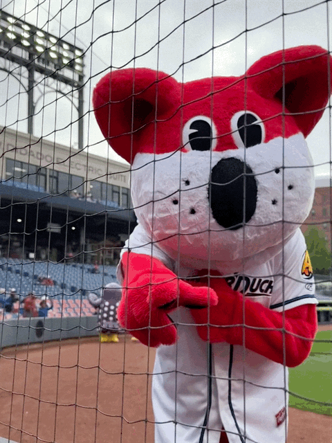 Mascot