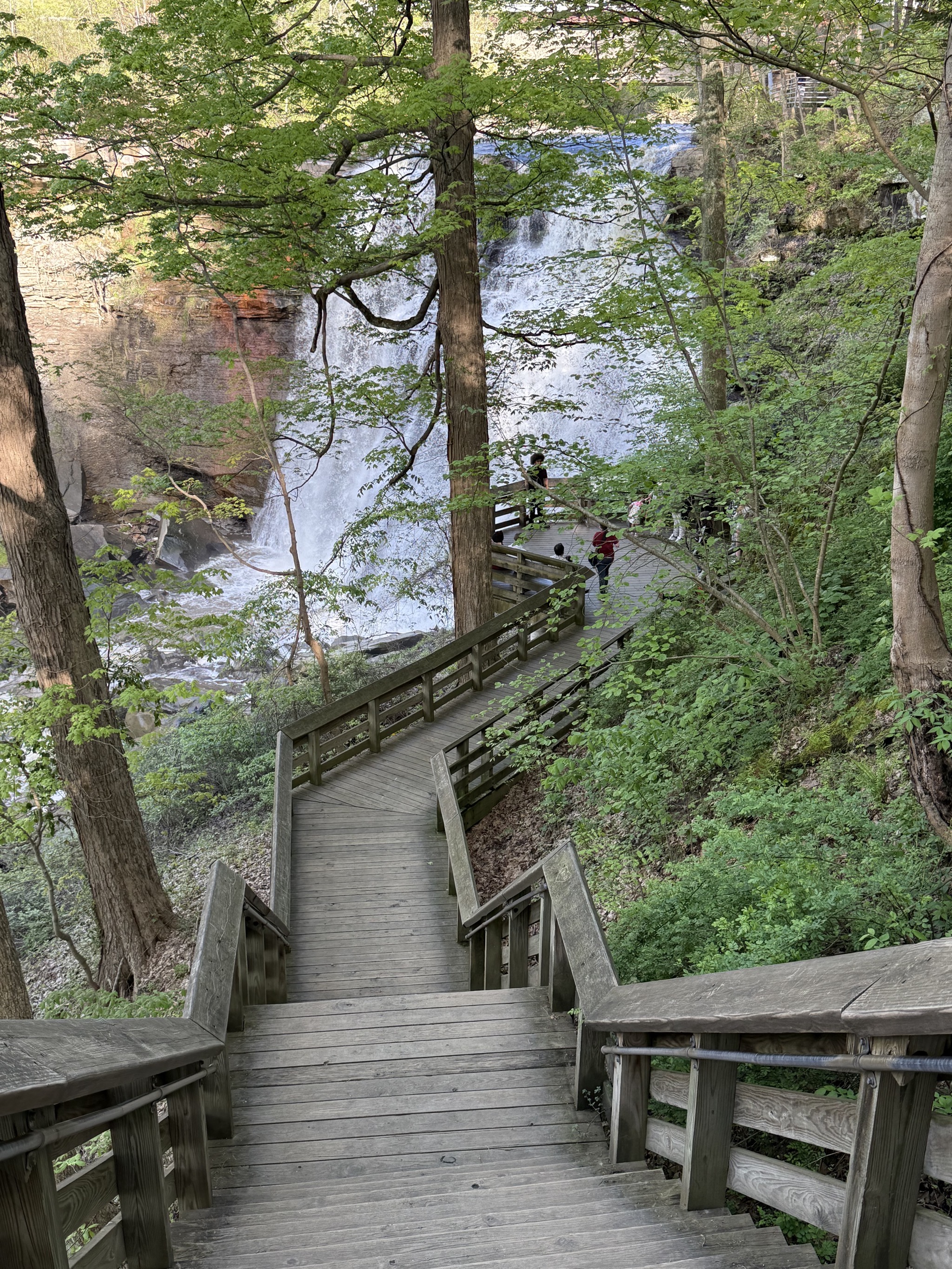Boardwalk