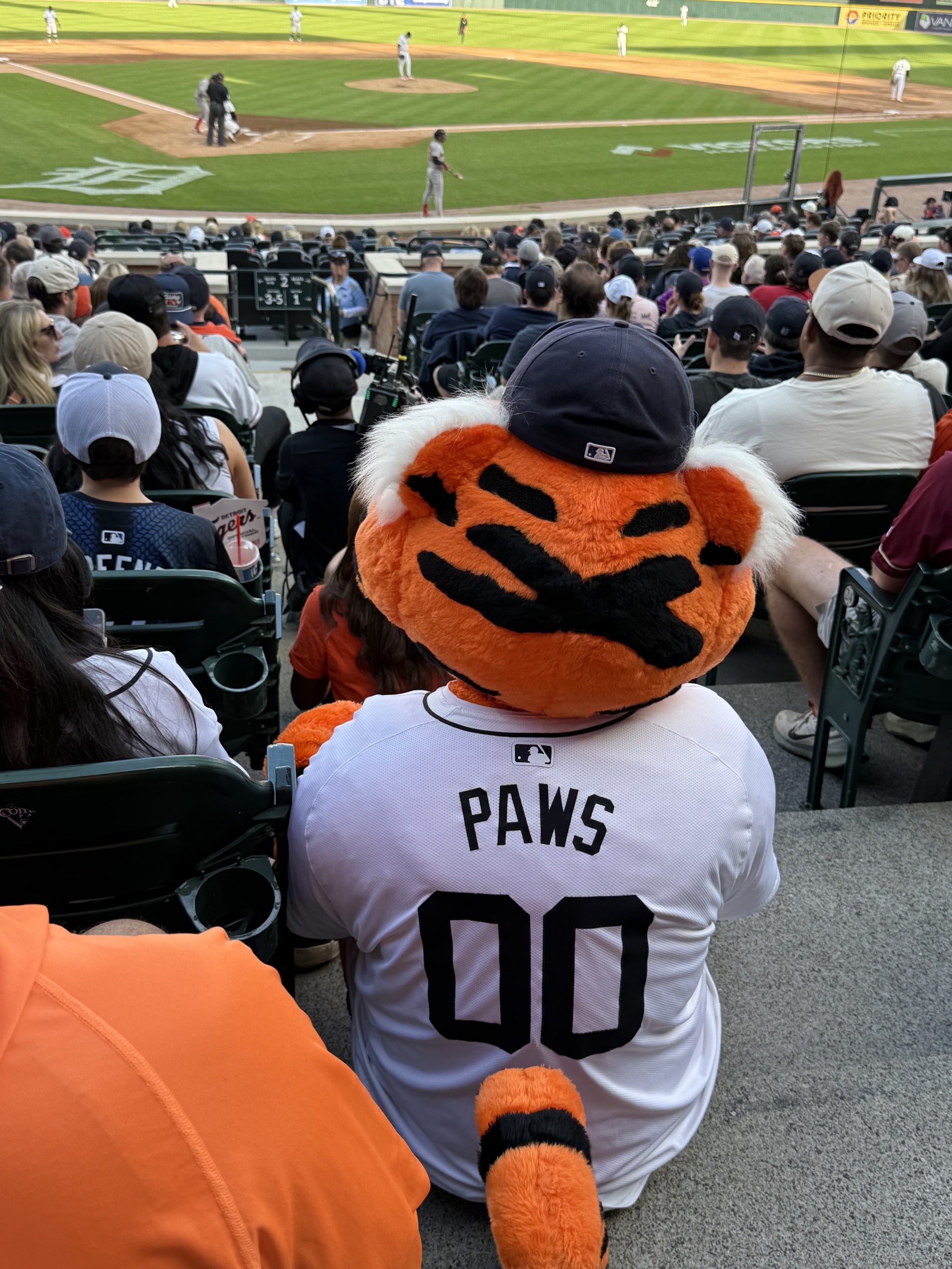 Paws