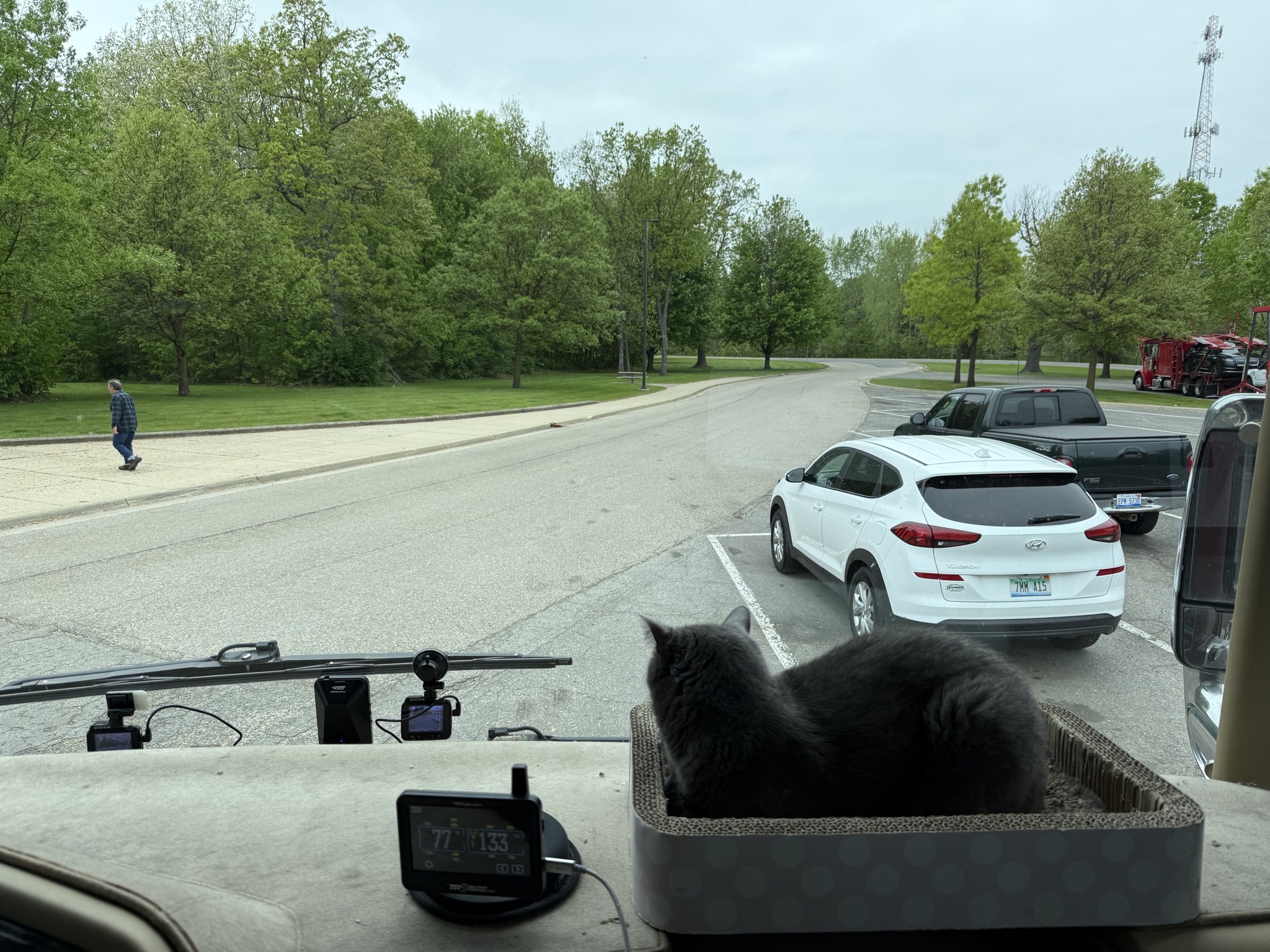 Paladin on the dash