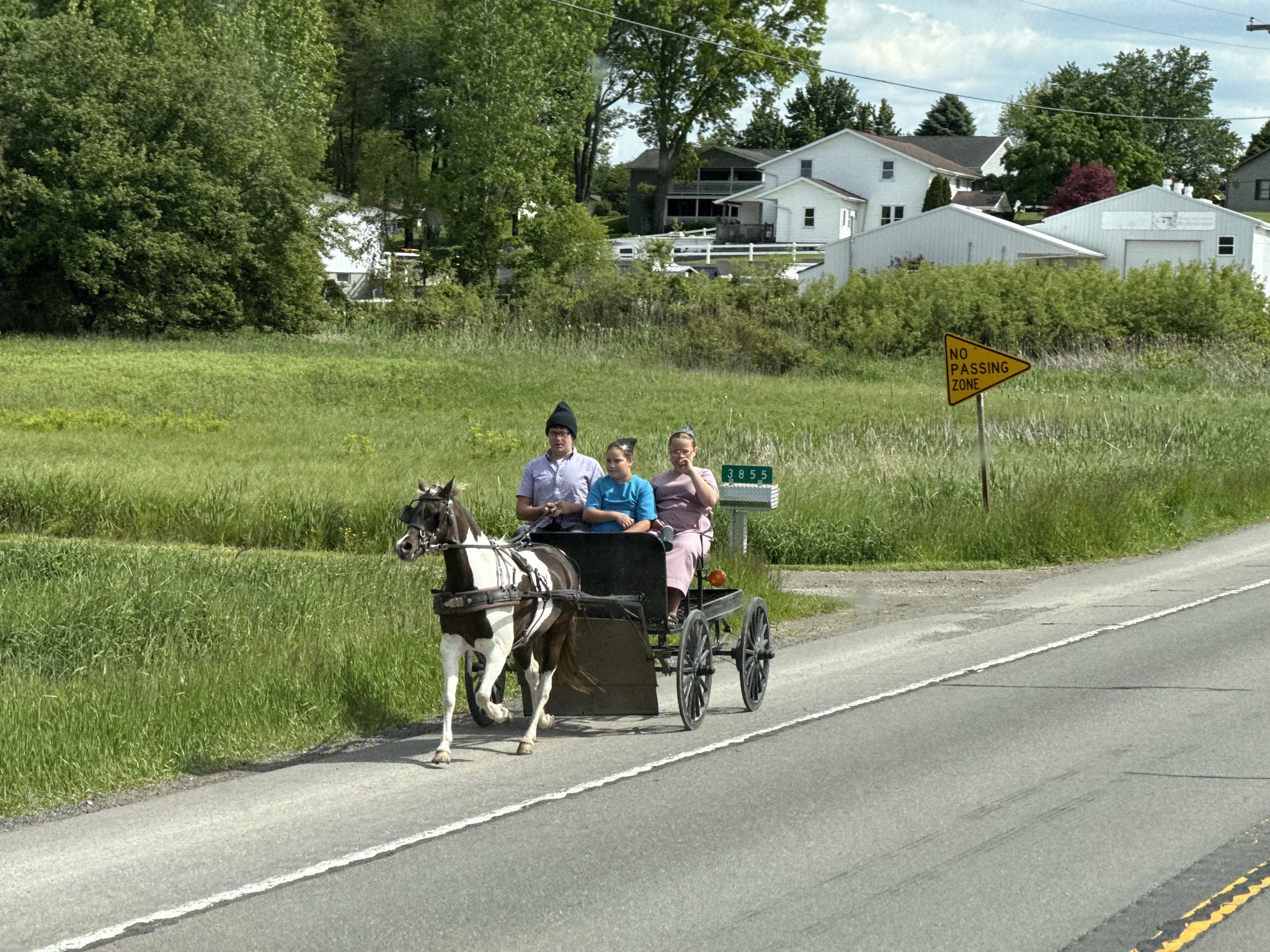 Amish kids buggy