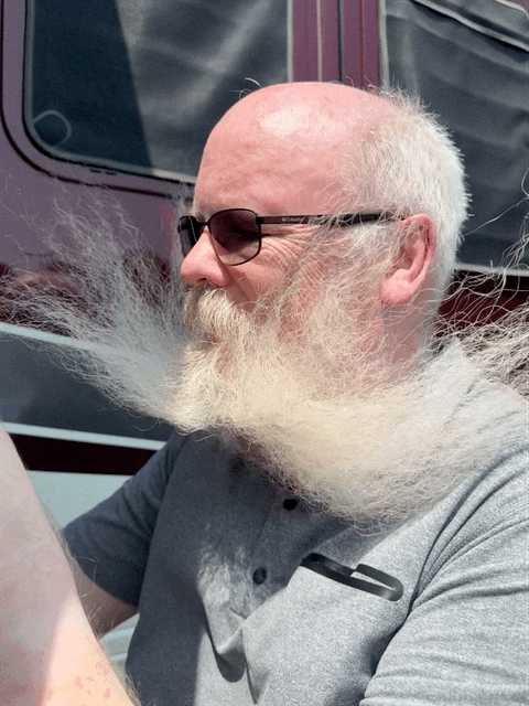David with beard blowing in wind