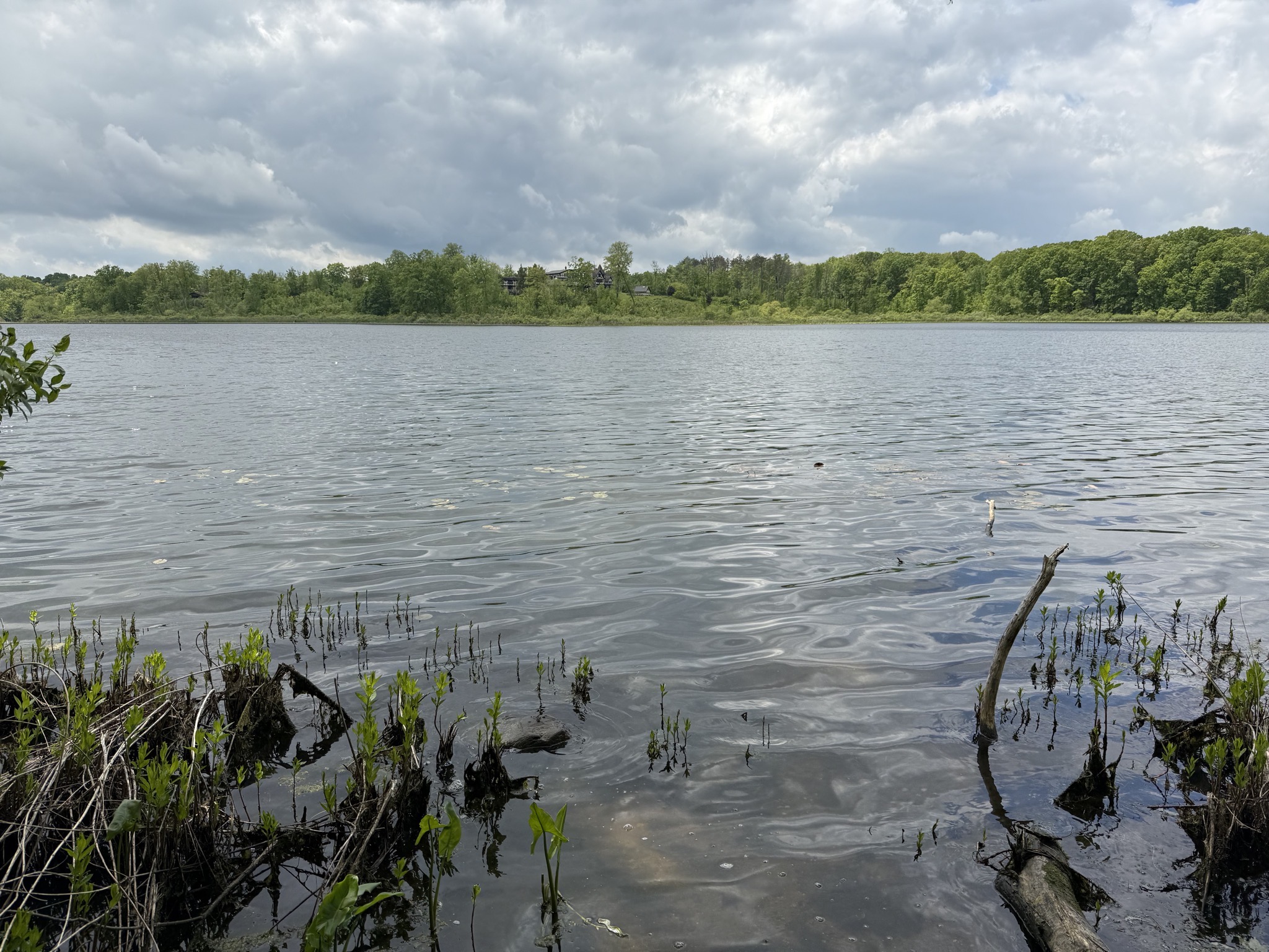 Lakeside
