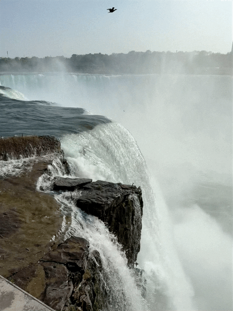 Horseshoe Falls