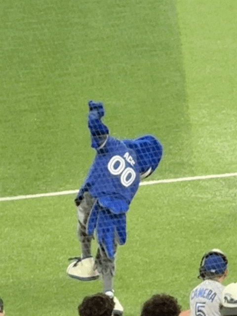 Ace, the Blue Jays mascot