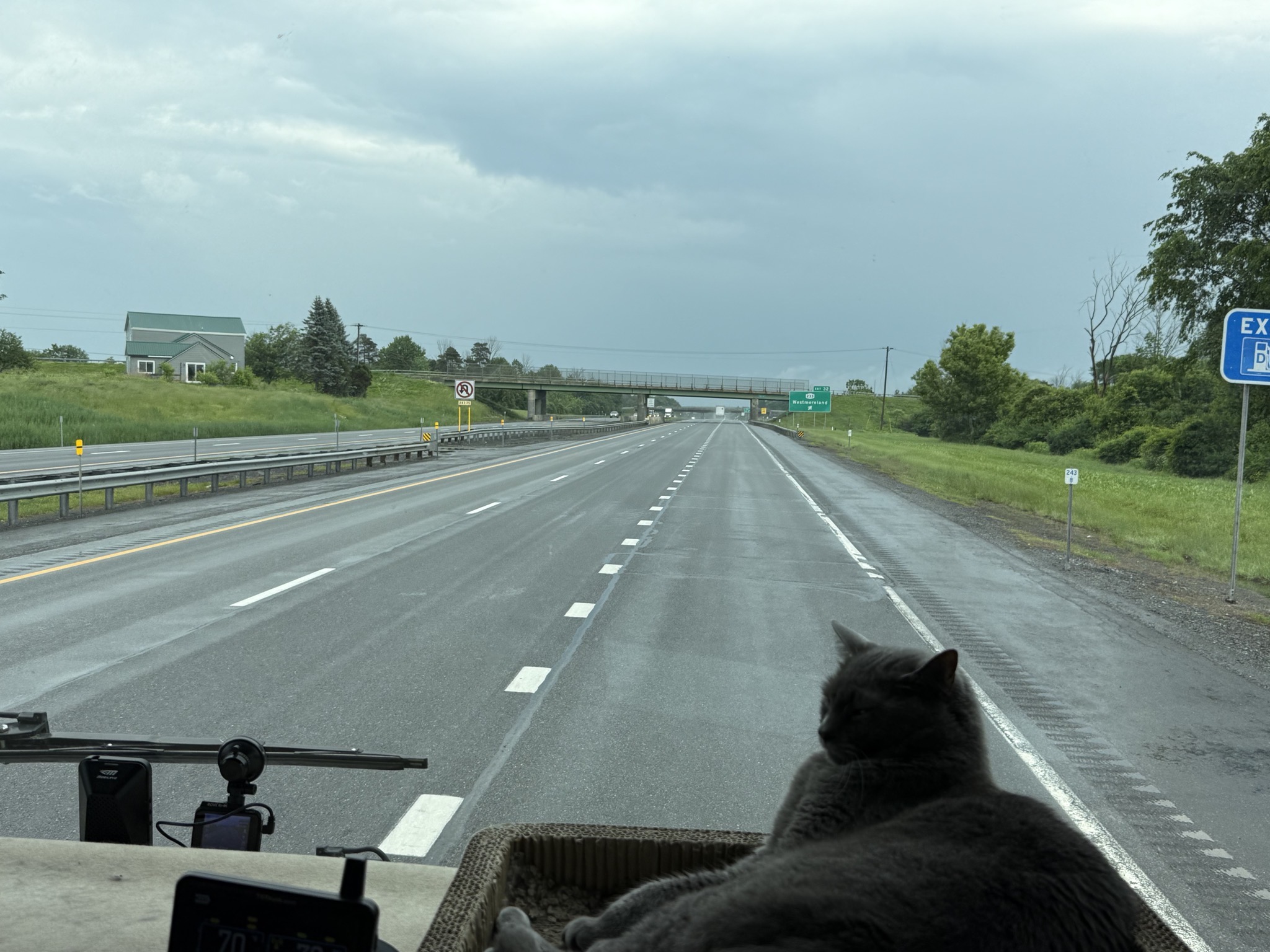 Paladin on the dash