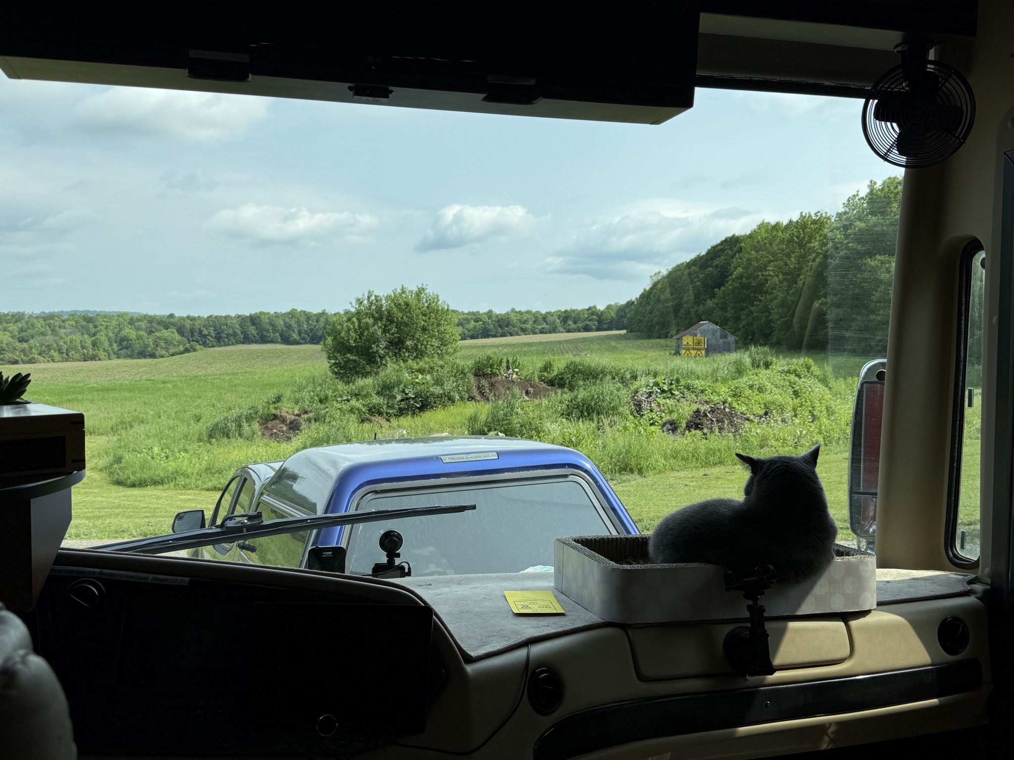 Nice view out windshield