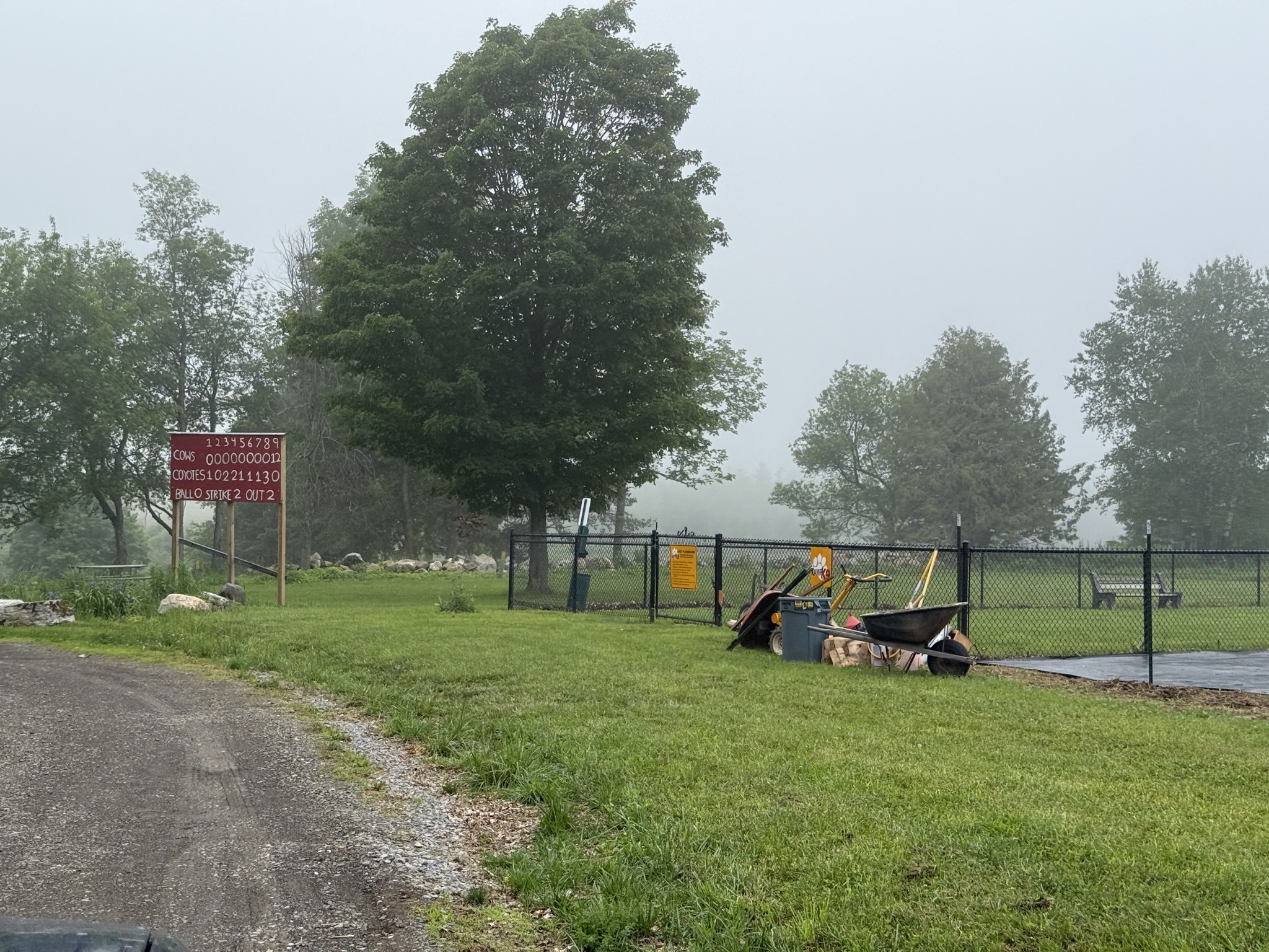 Dog park and amusing sign