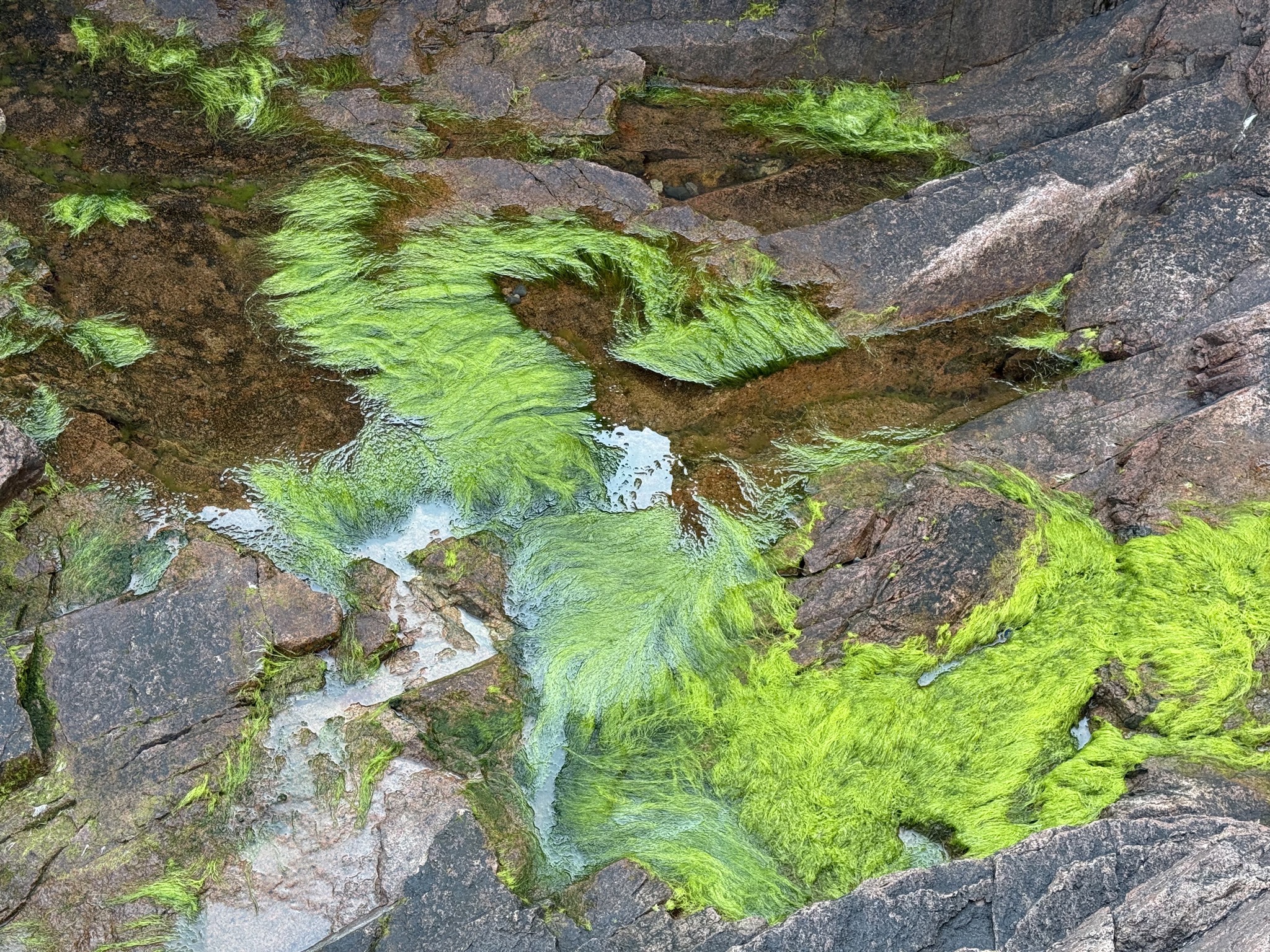 Thunder Hole