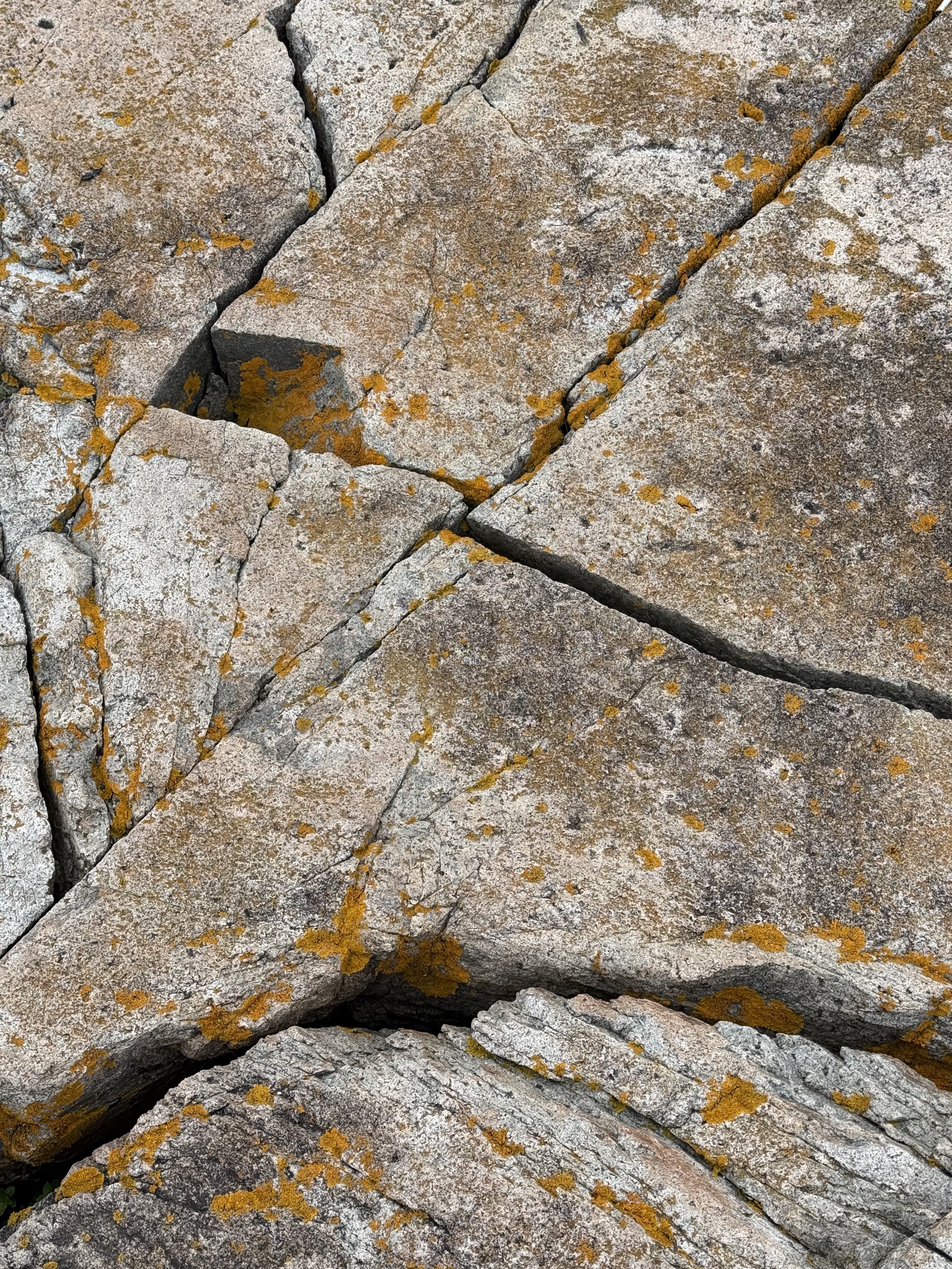 Schoodic Peninsula