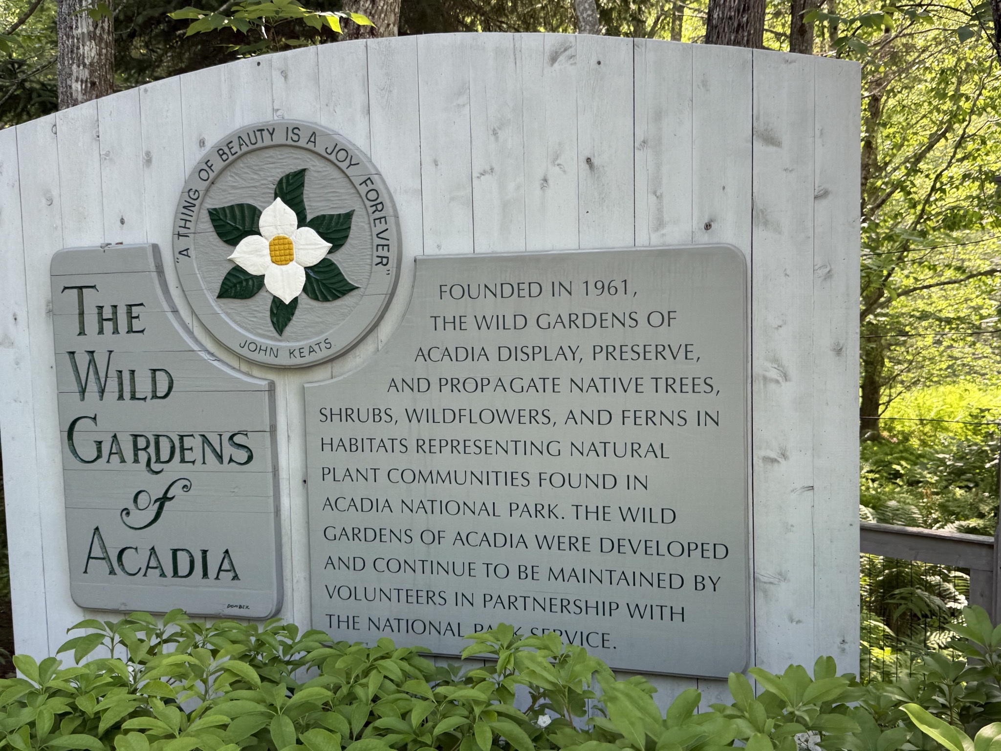 The Wild Gardens of Acadia