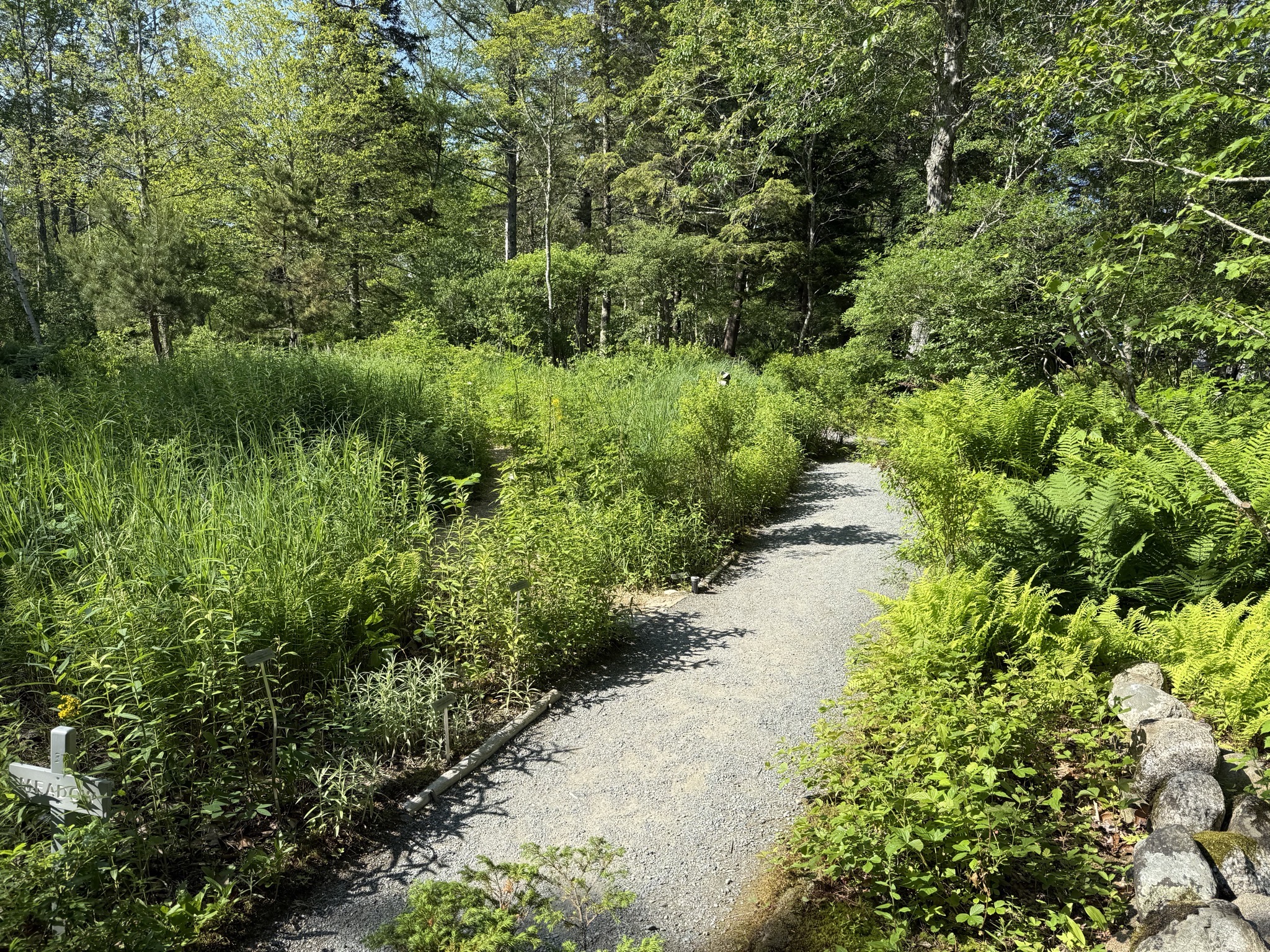 The Wild Gardens of Acadia