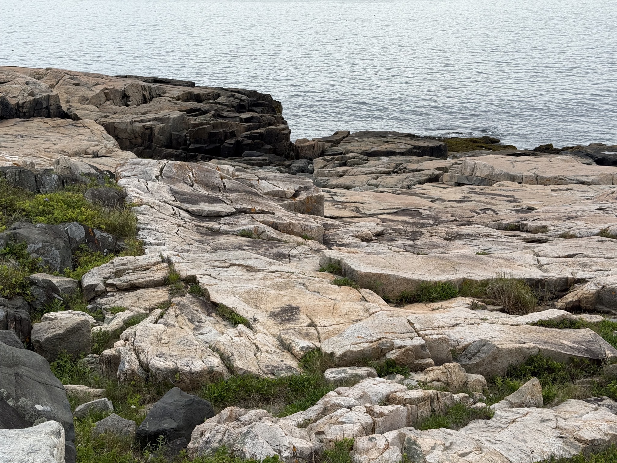 Schoodic Peninsula