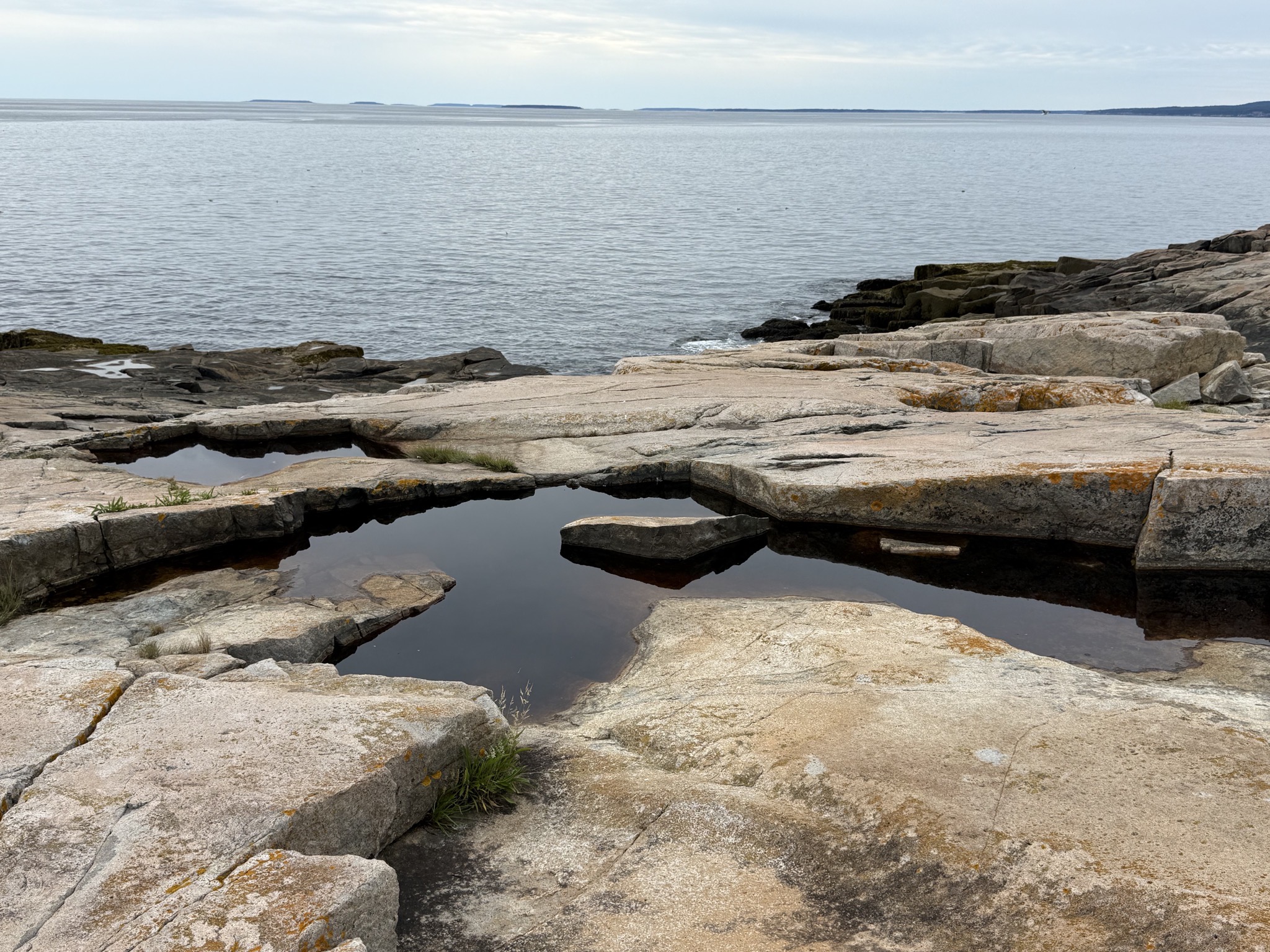 Schoodic Peninsula
