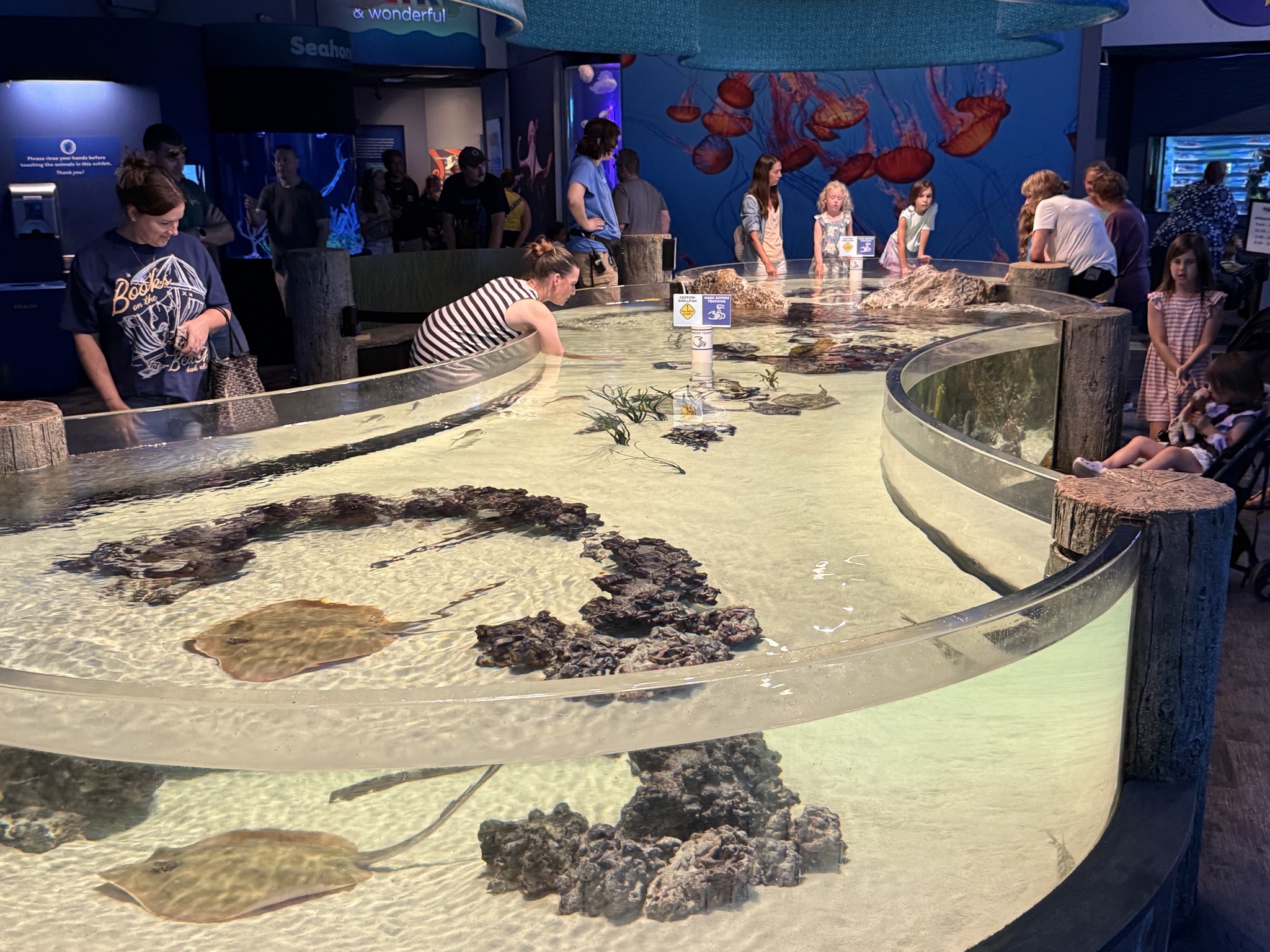 Touch tank