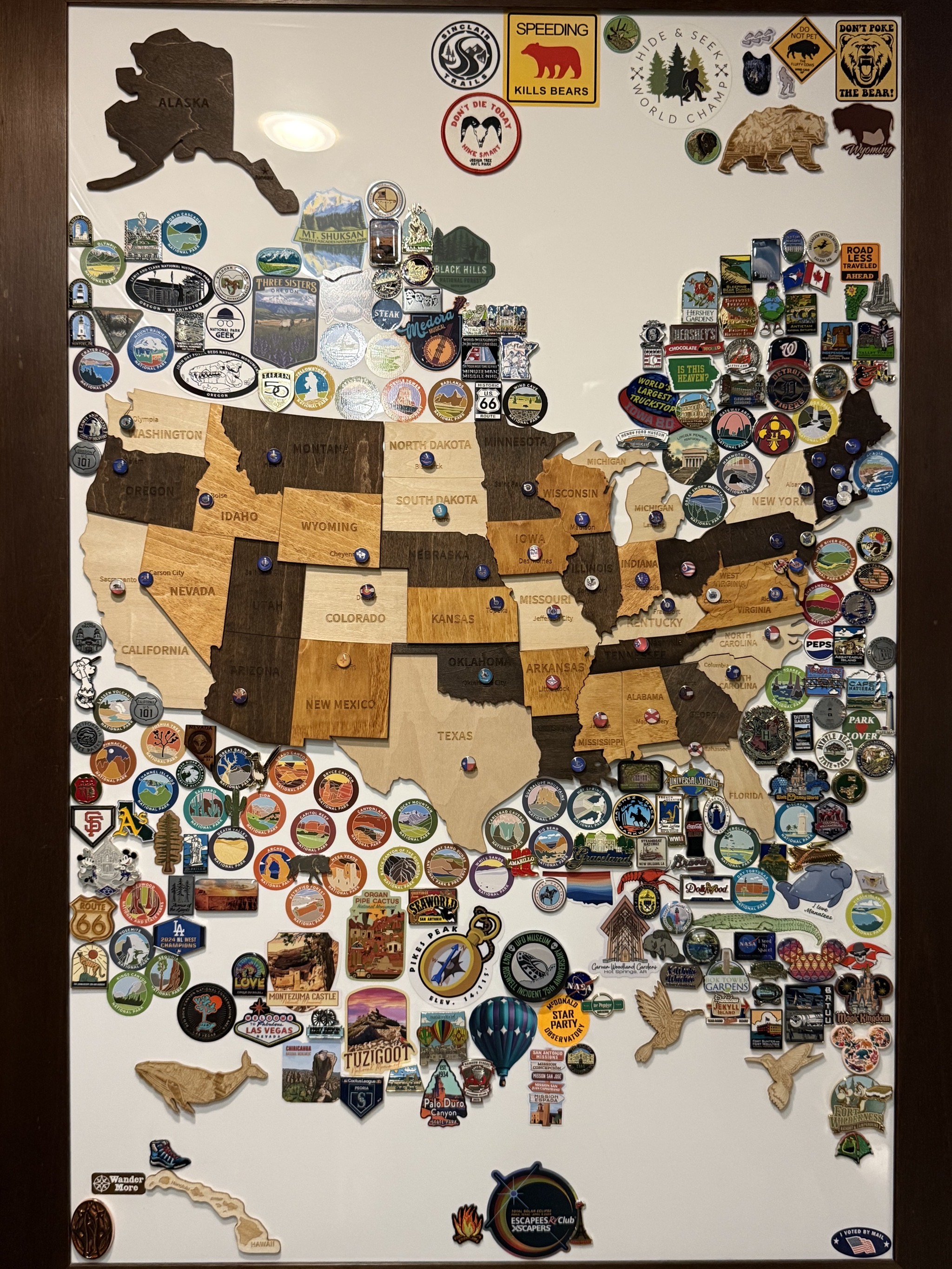 Pin board
