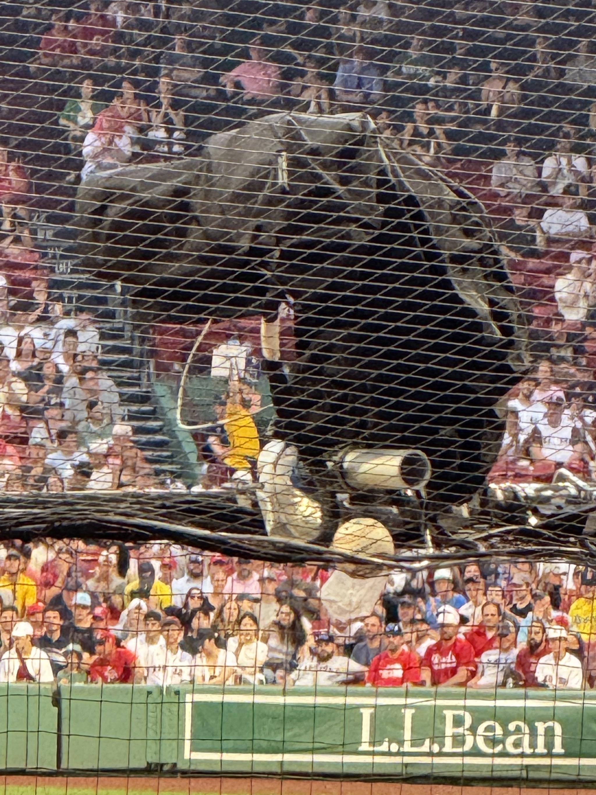 A ball got caught in the netting