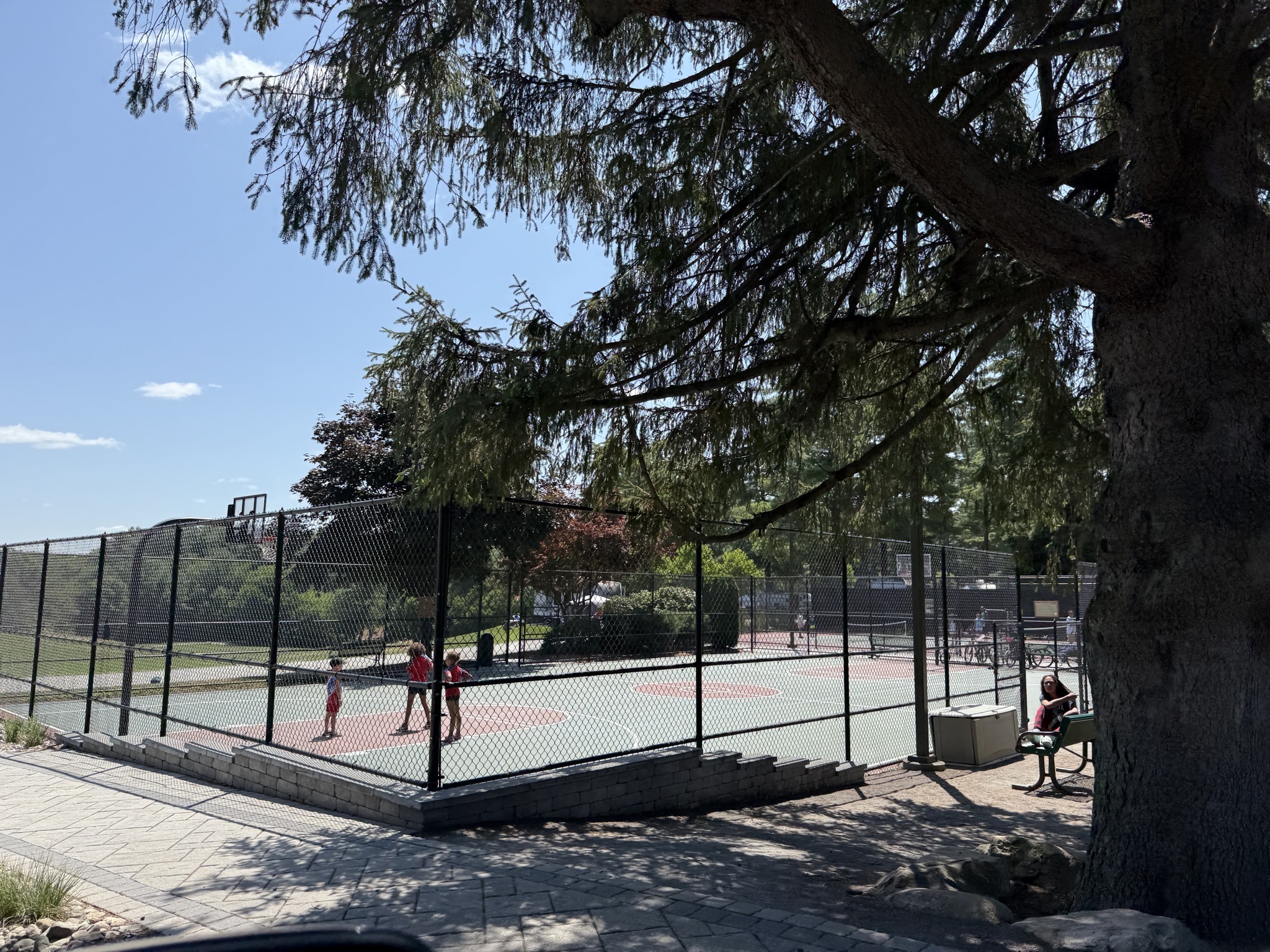 Court