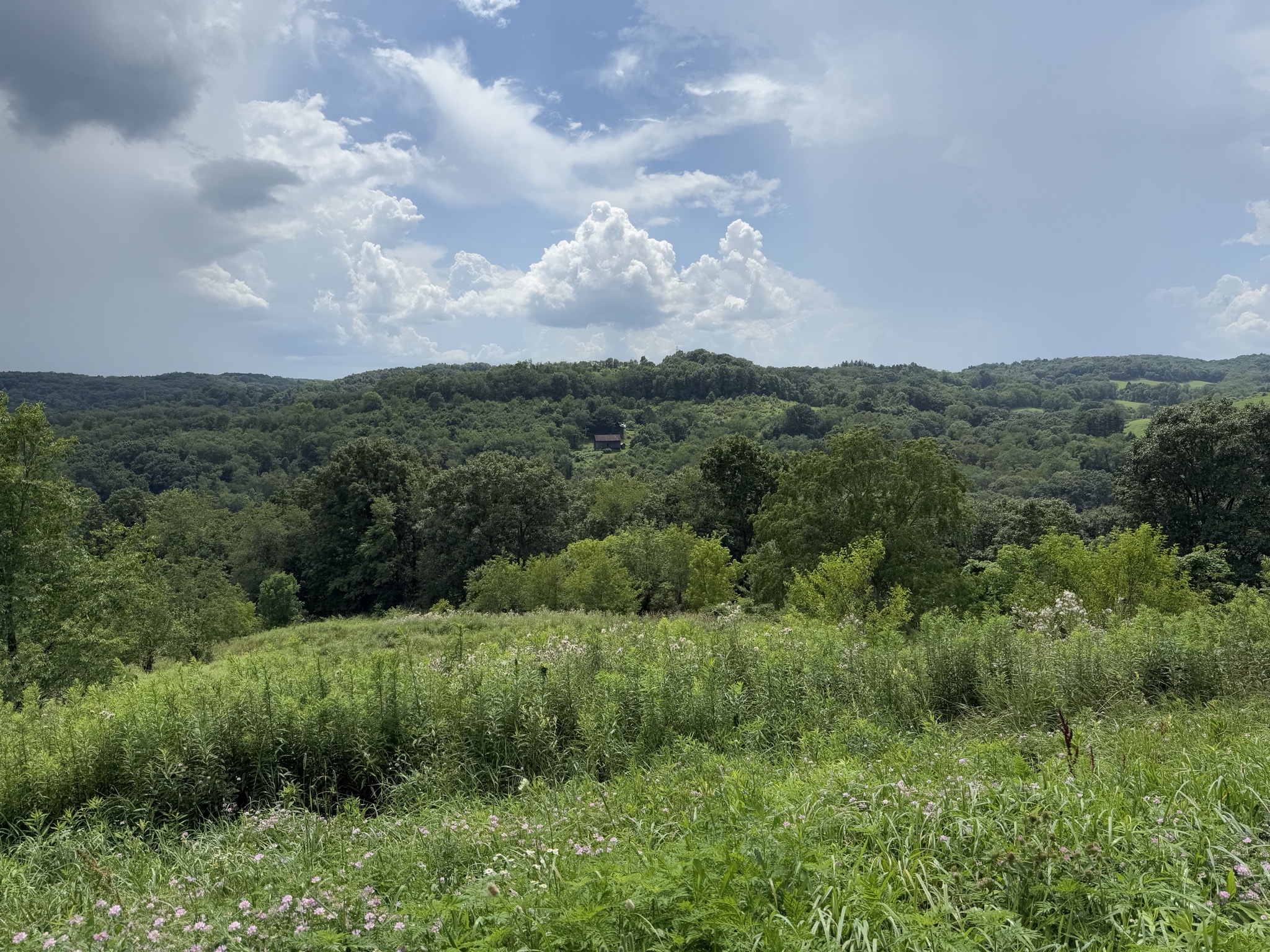 View