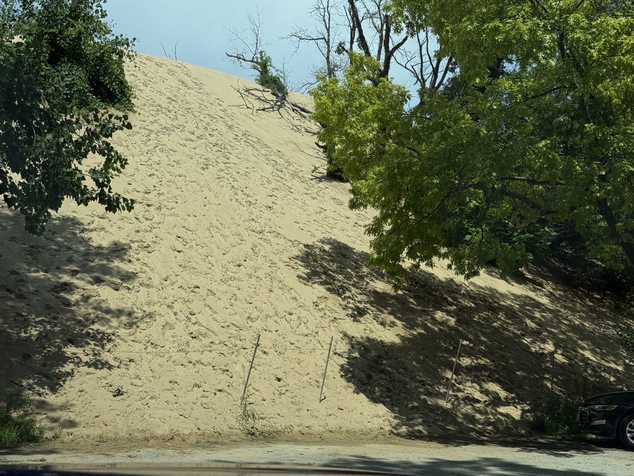 Dune