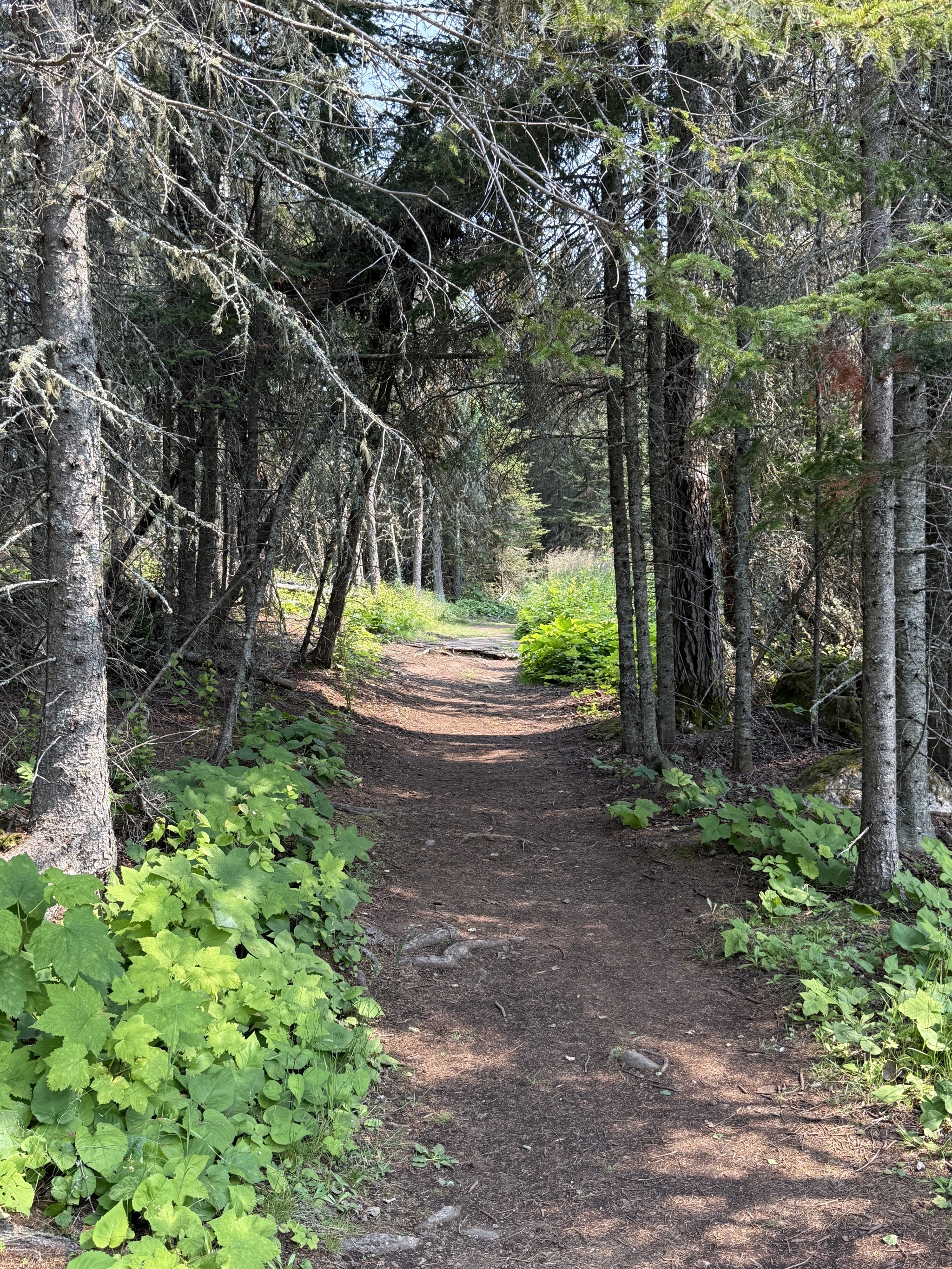 Stoll Trail