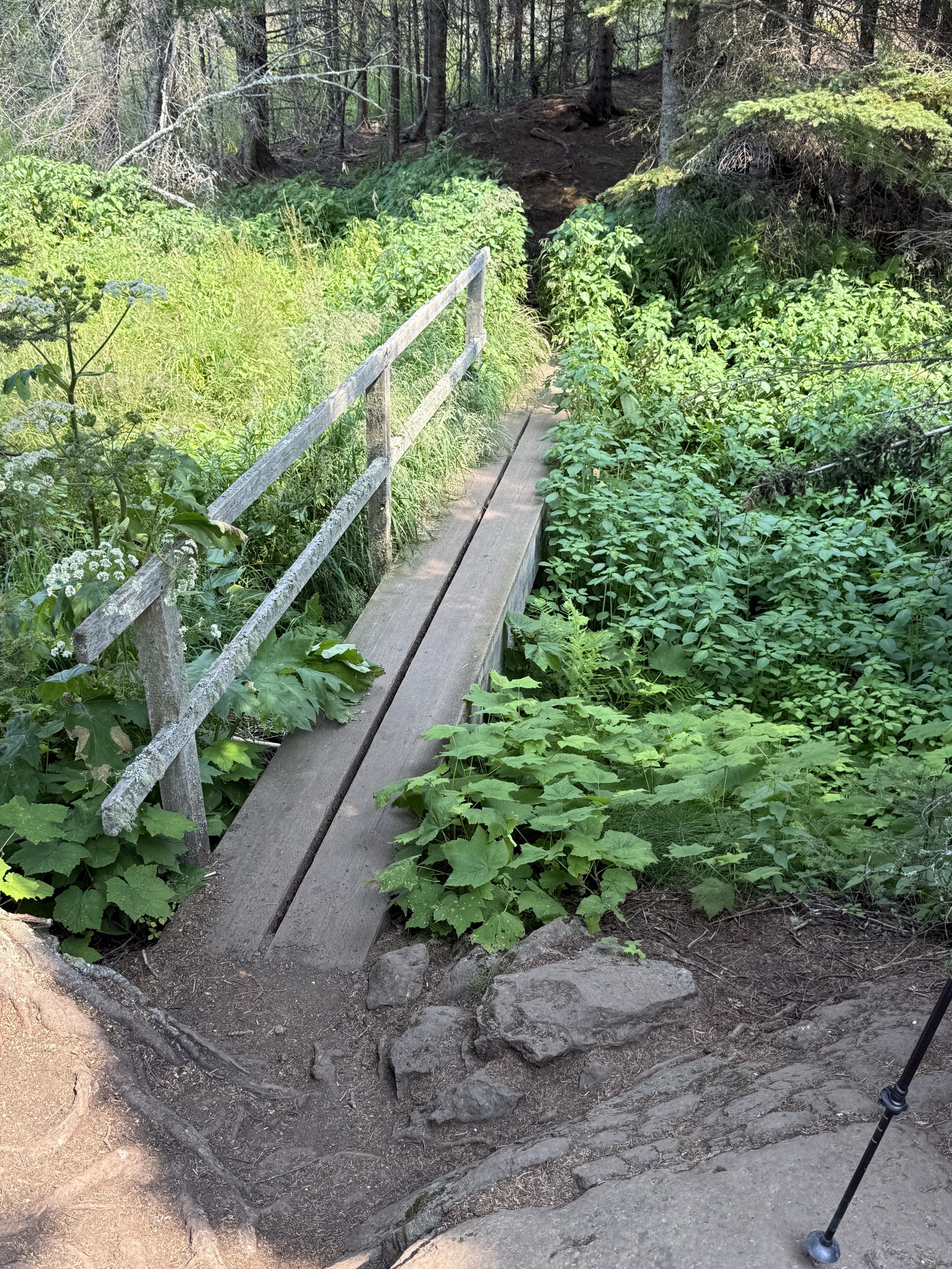 Stoll Trail
