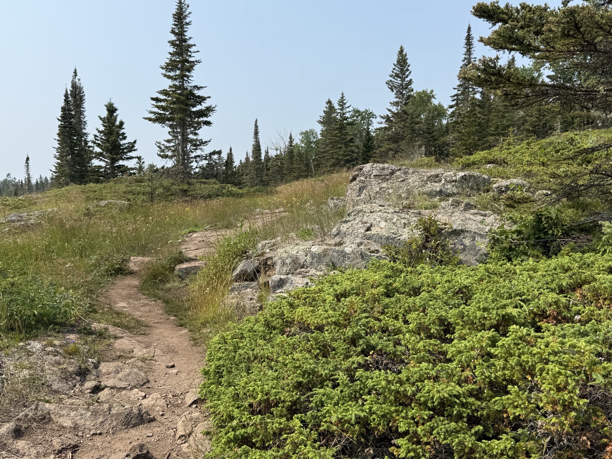 Stoll Trail