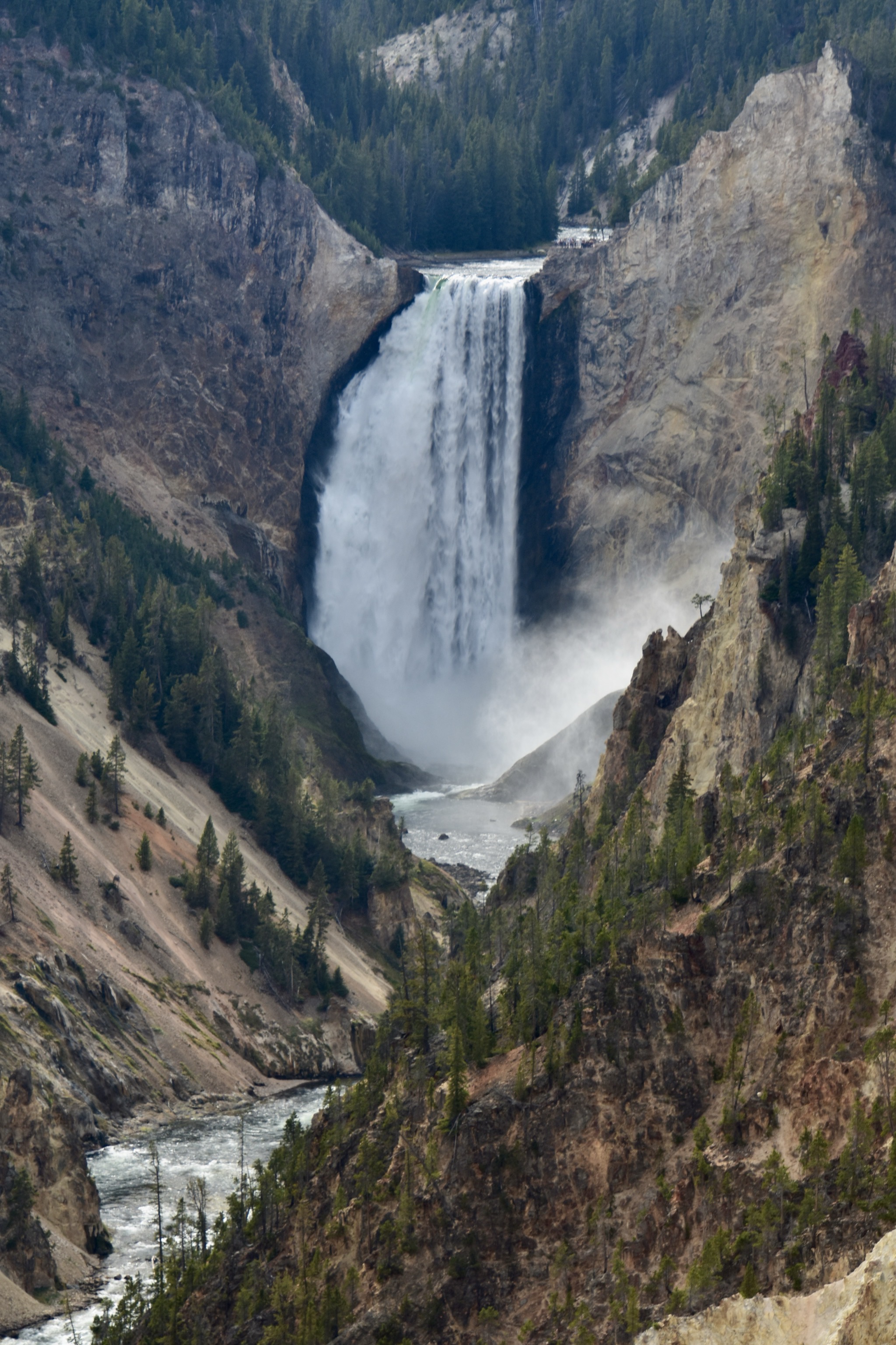 Grand Canyon of Yellowstone