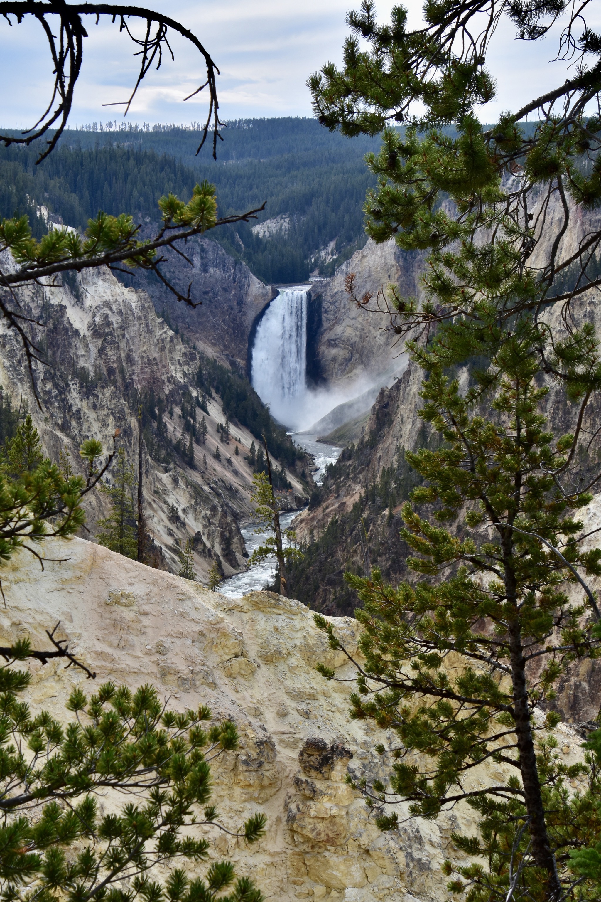 Grand Canyon of Yellowstone