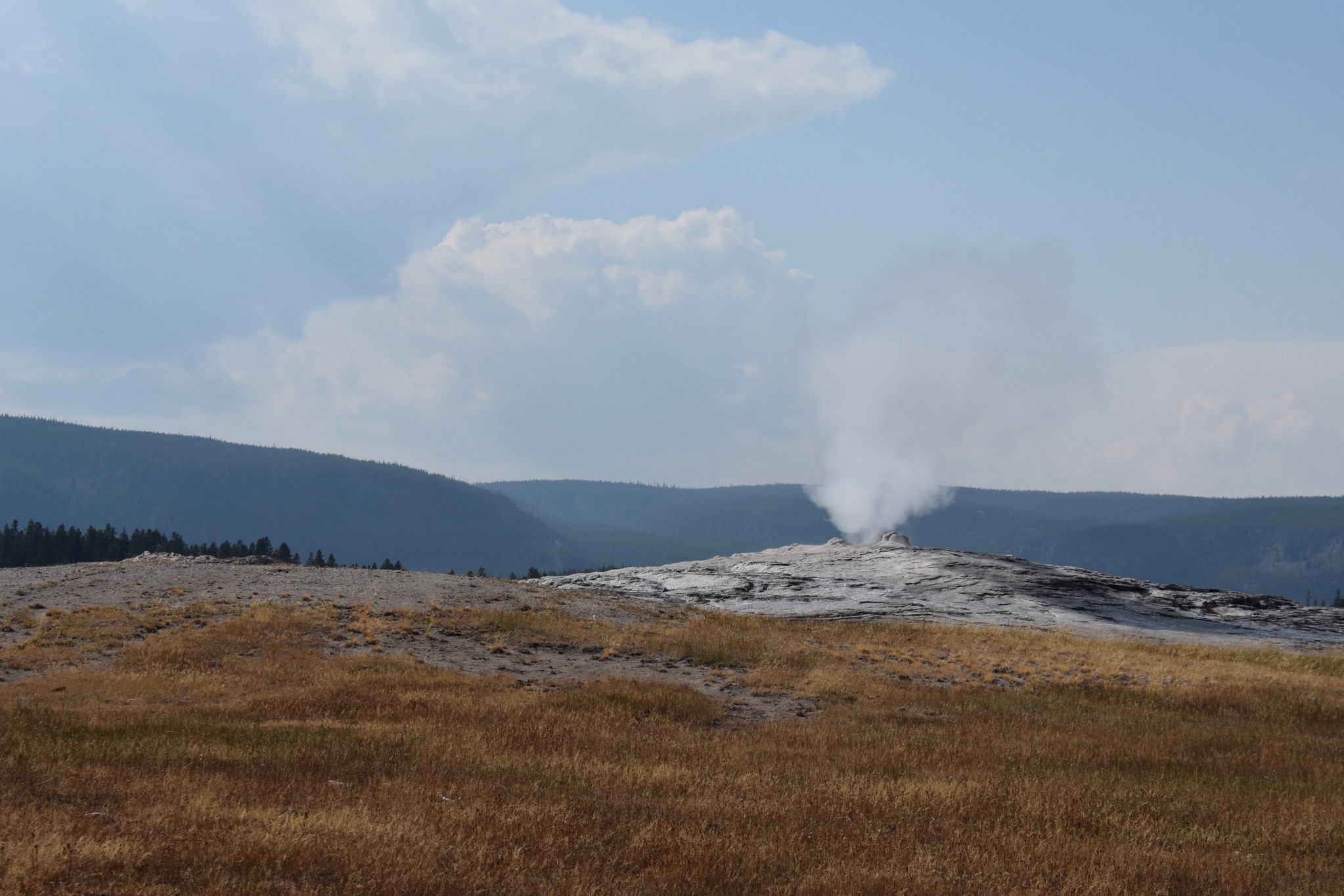 Upper Geyser Basin
