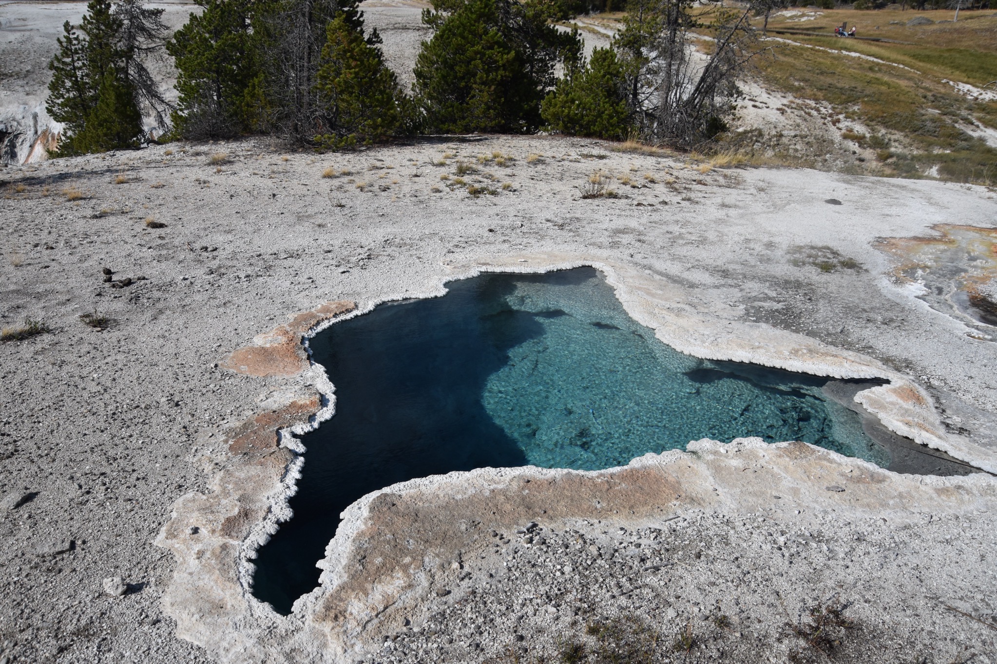 Upper Geyser Basin