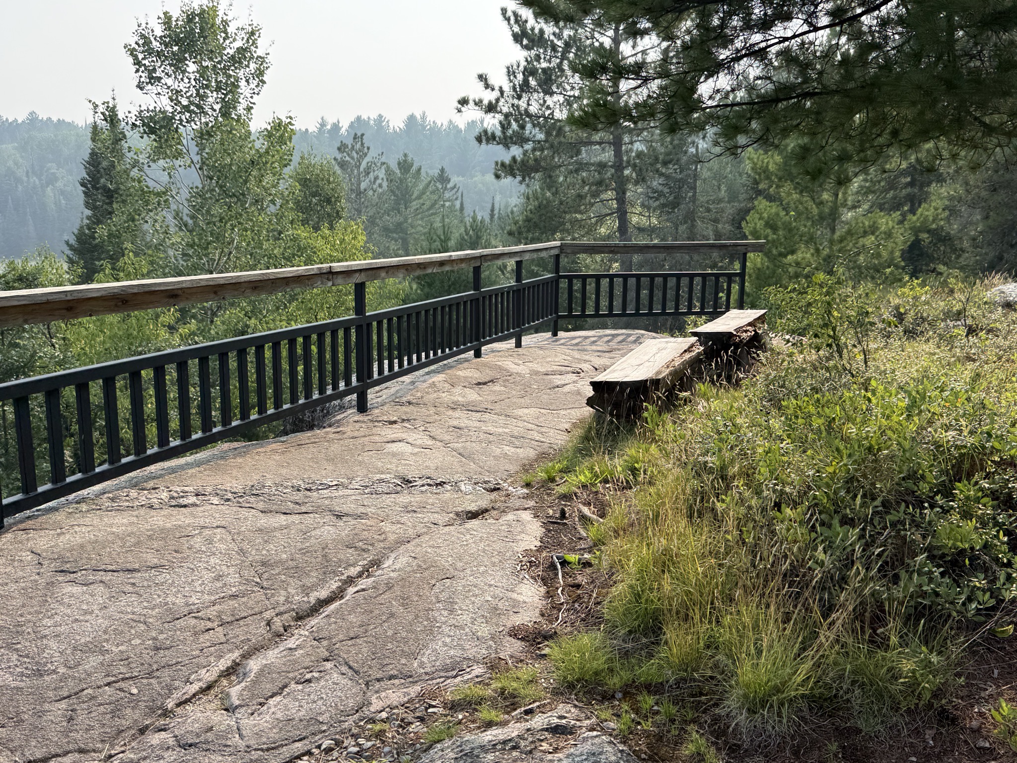Beaver Pond Overlook Trail