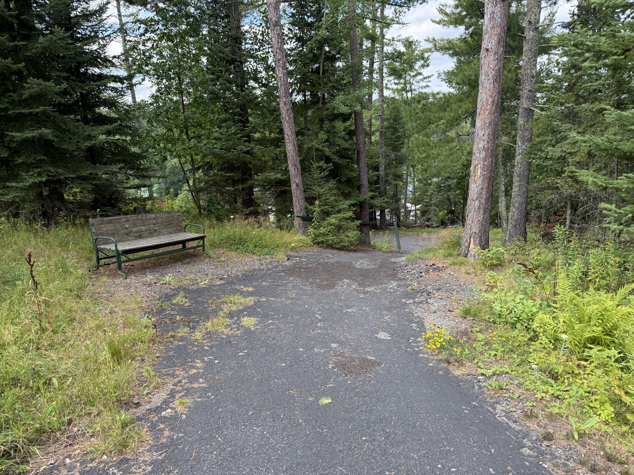 Pedestrian path down the hill