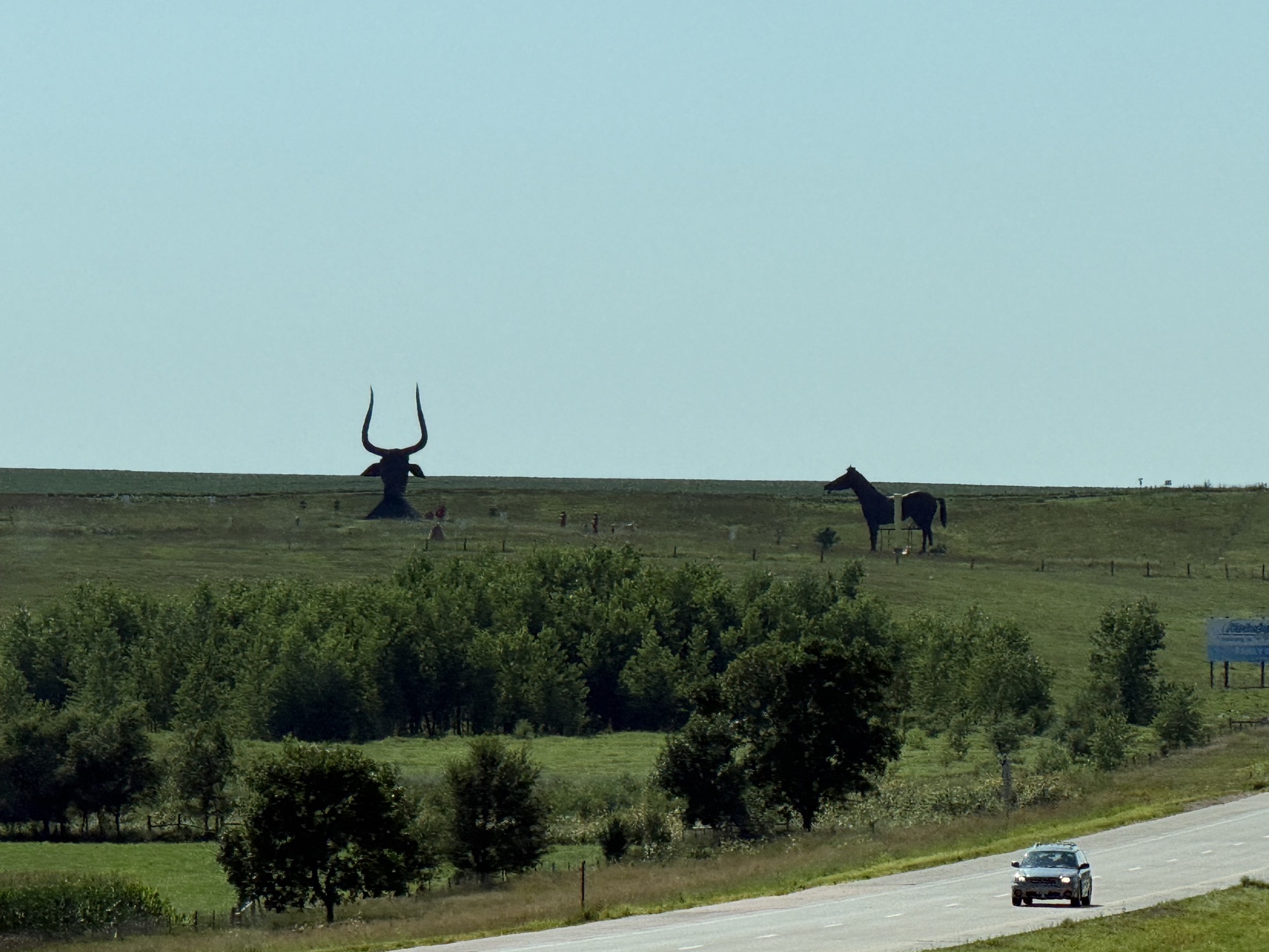 Bull and horse sculptures
