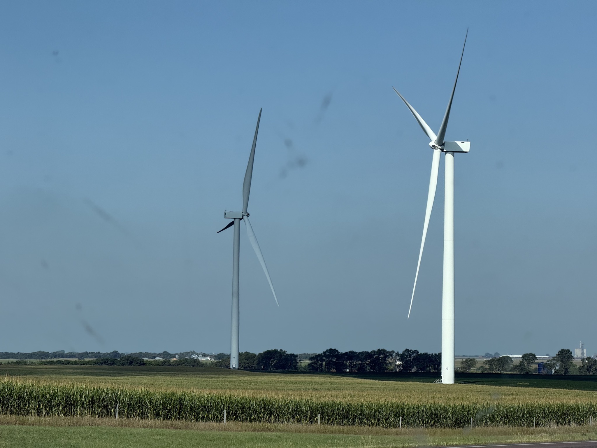 Wind turbines and corn fields