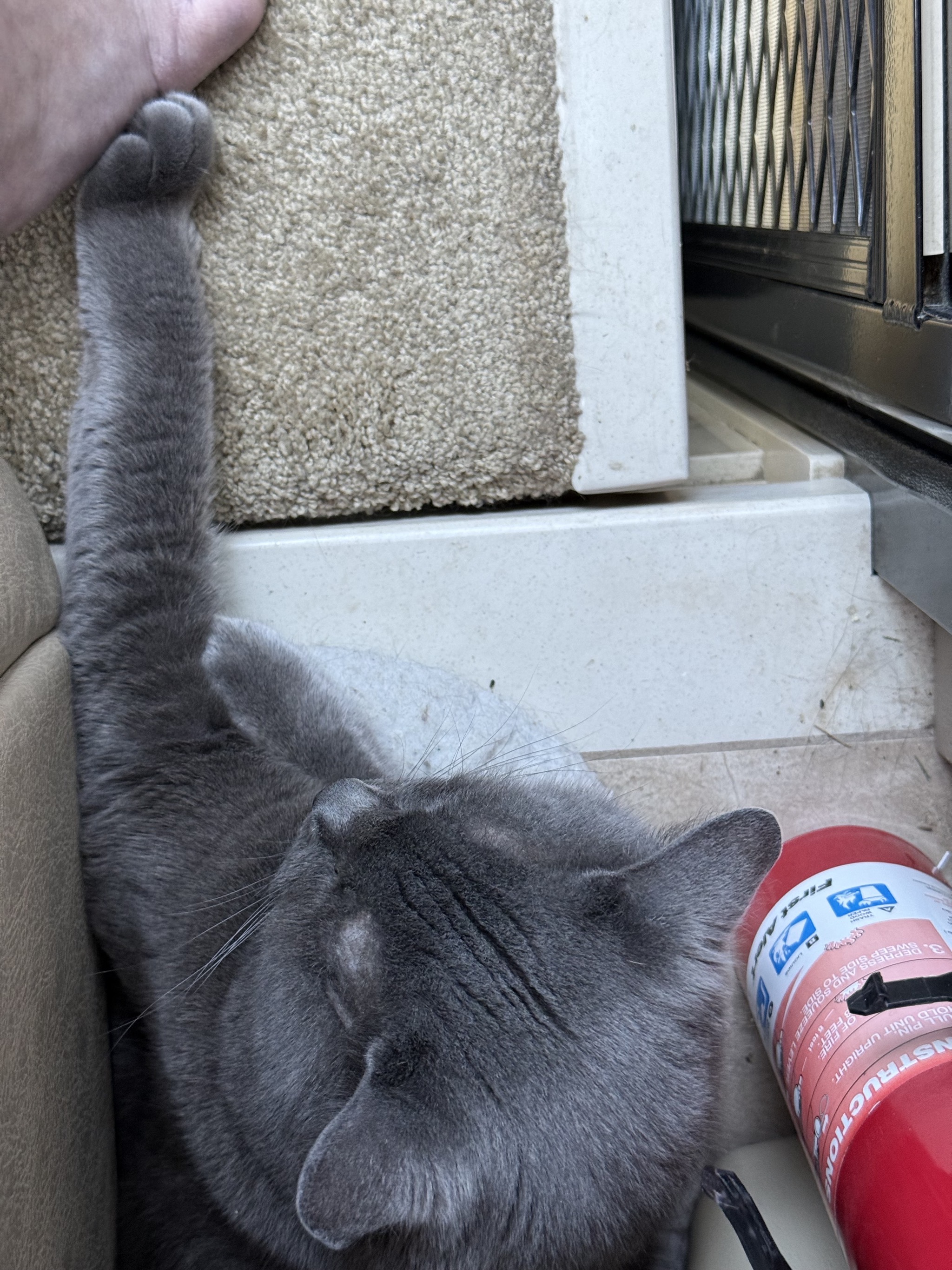 Paladin reaching out to touch my foot