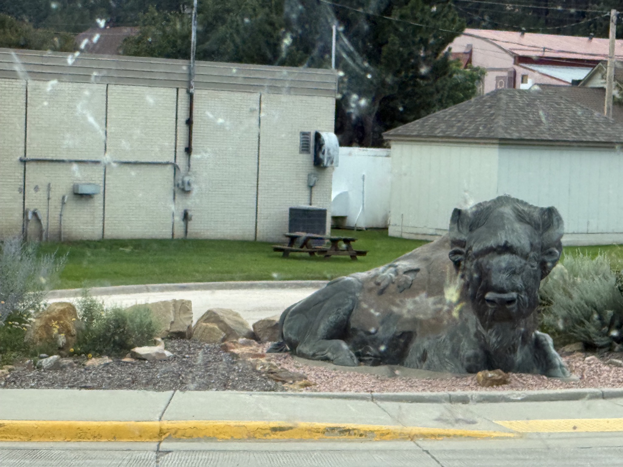 Buffalo sculpture