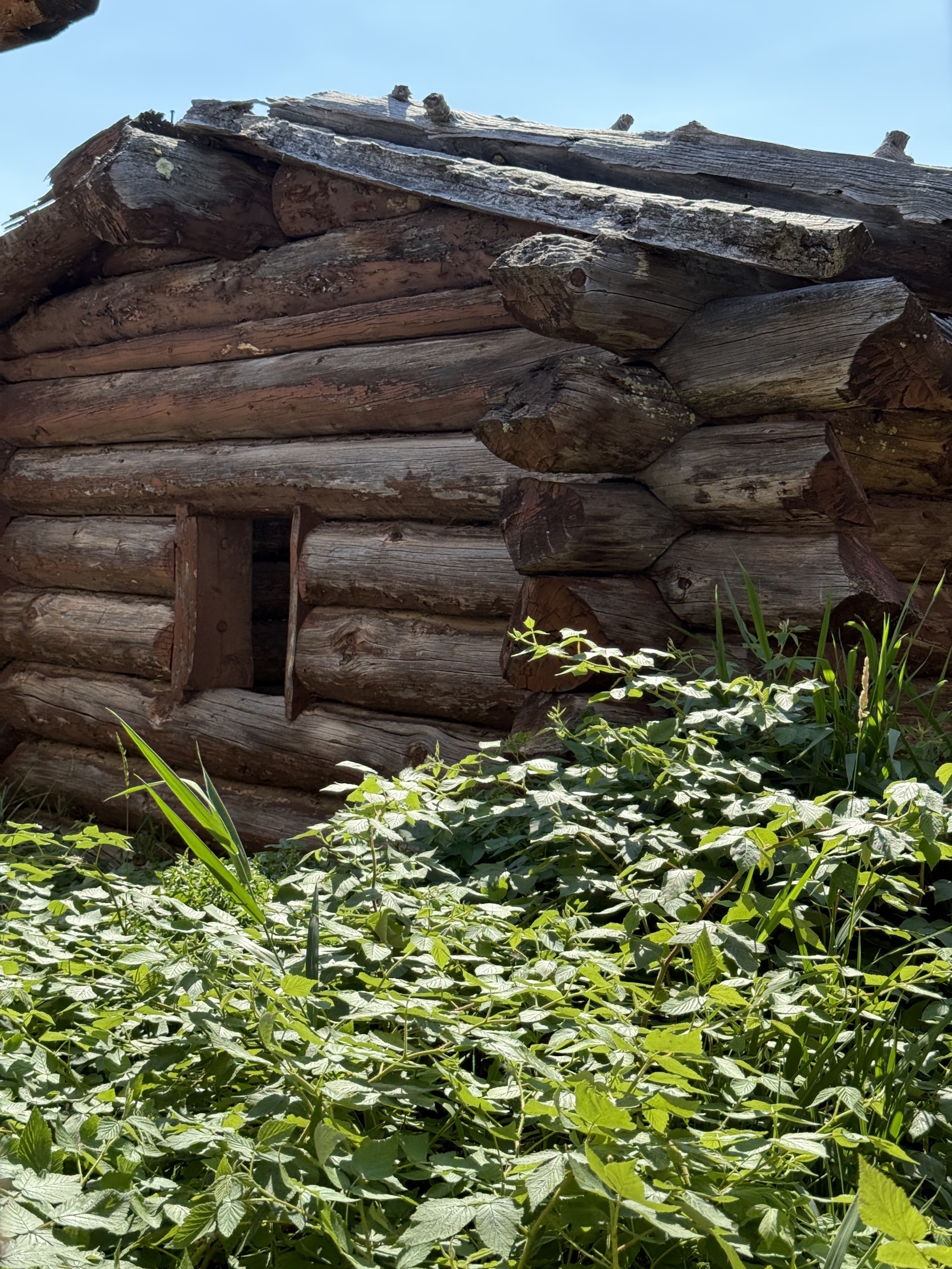 Stockade