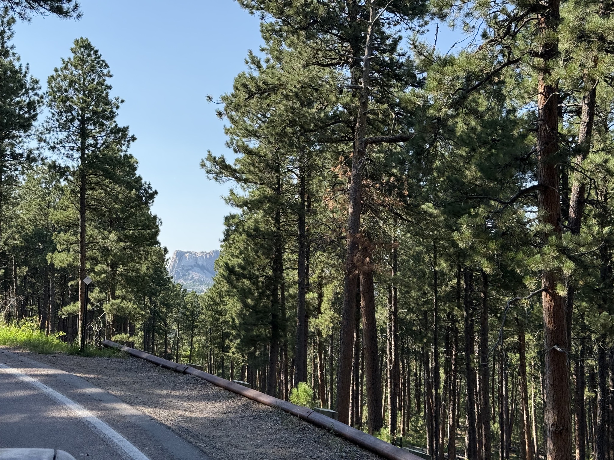 A peek of Mount Rushmore through the trees