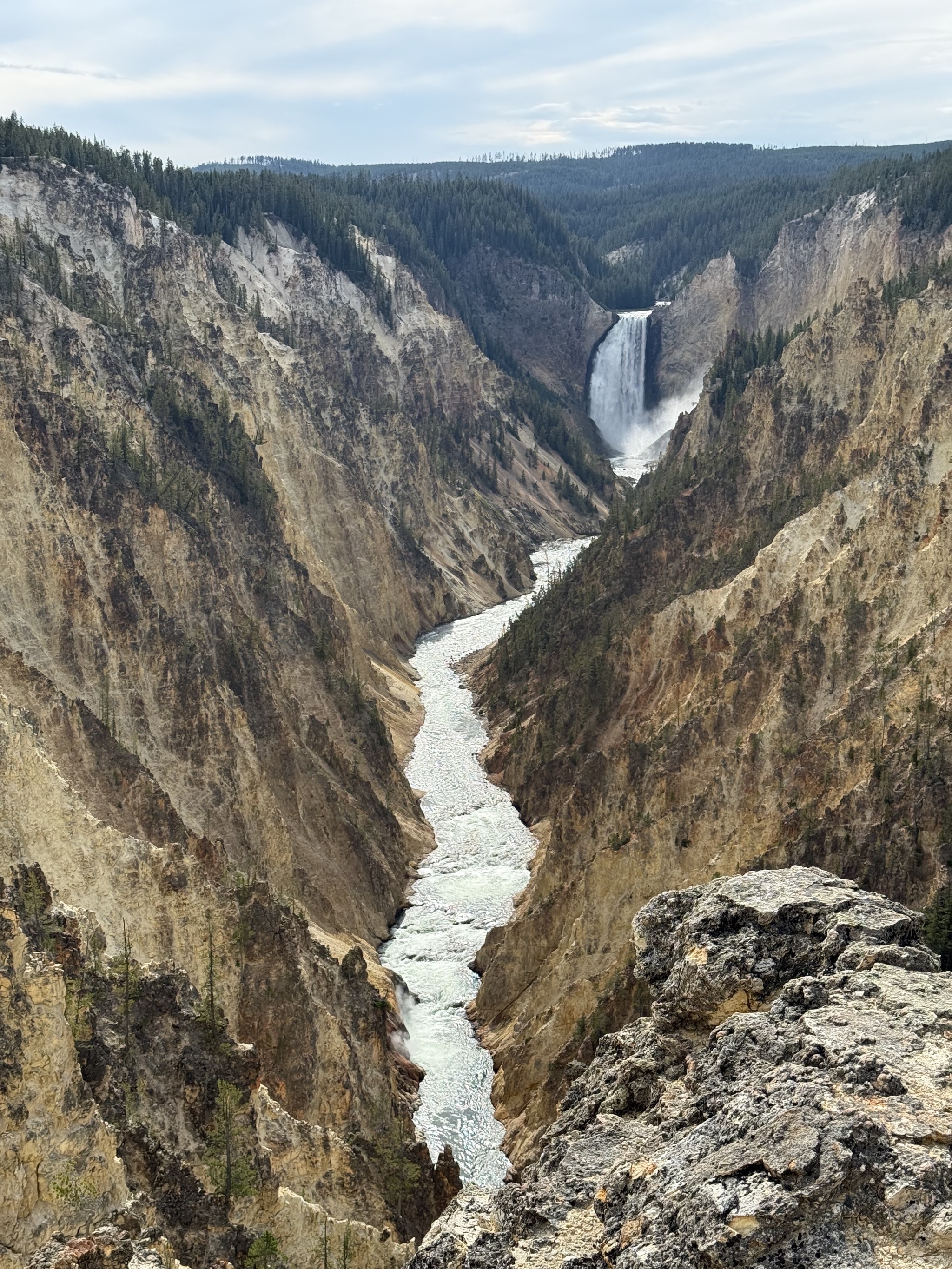 Grand Canyon of Yellowstone