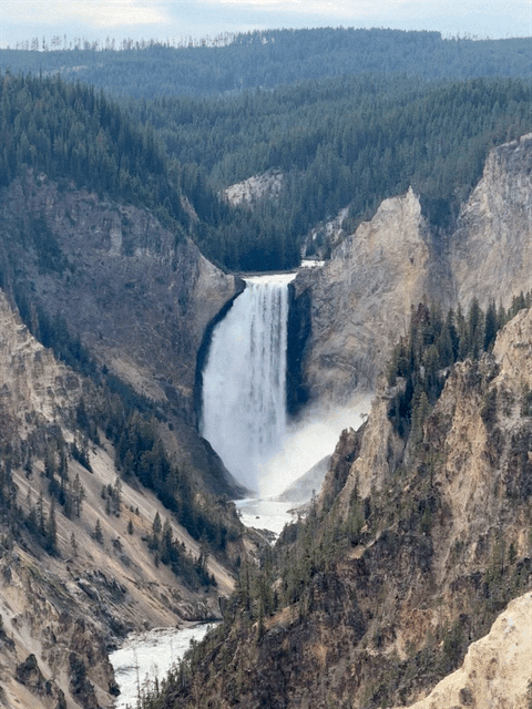 Grand Canyon of Yellowstone