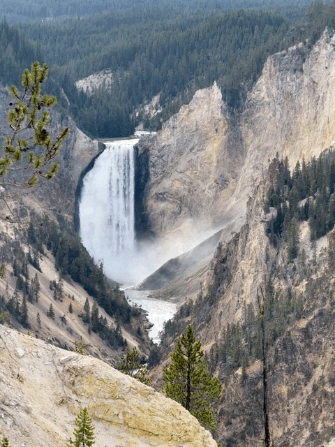 Grand Canyon of Yellowstone
