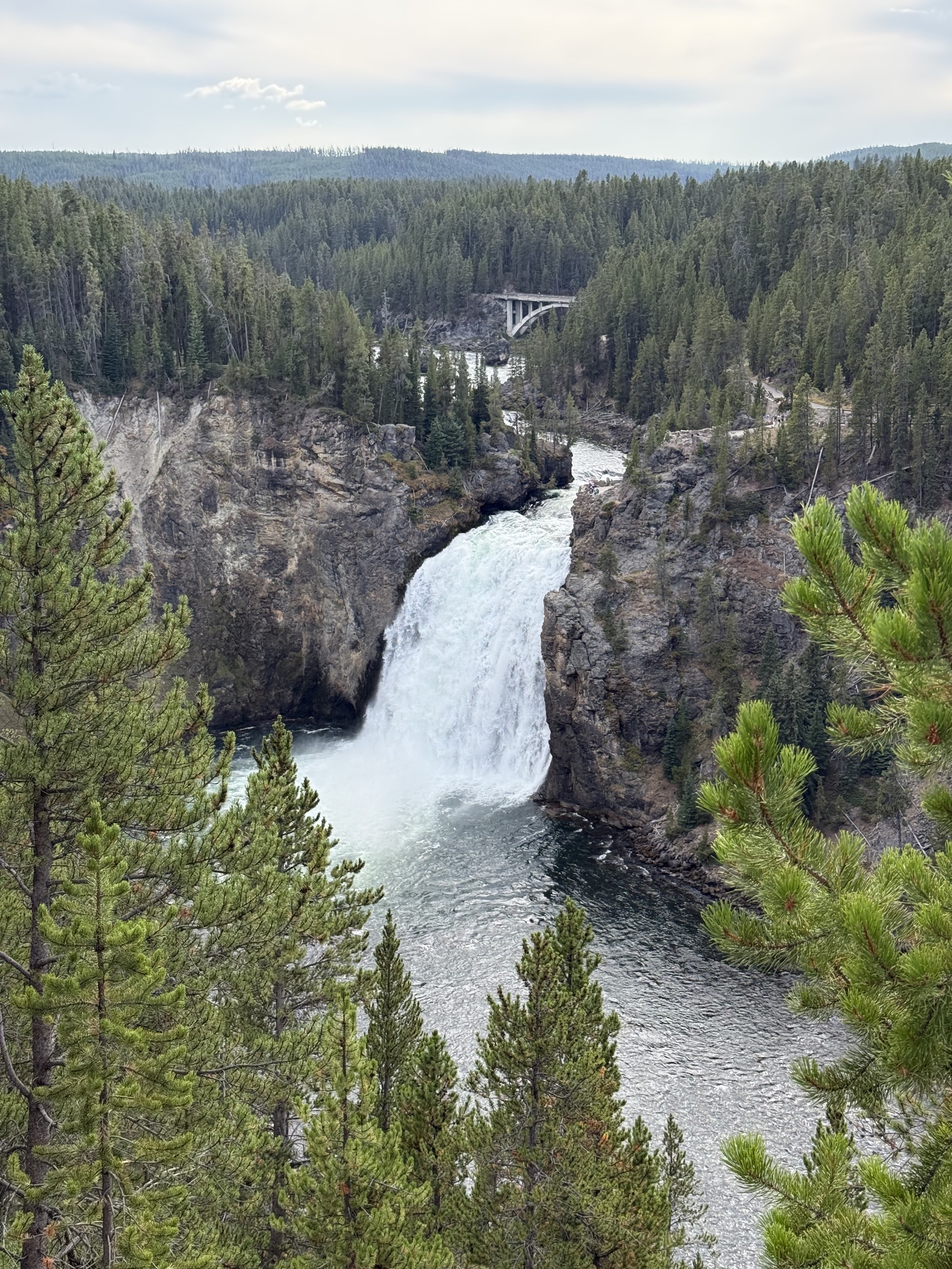 Grand Canyon of Yellowstone