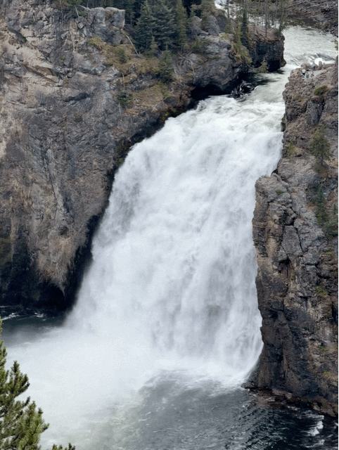 Grand Canyon of Yellowstone