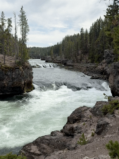 Grand Canyon of Yellowstone