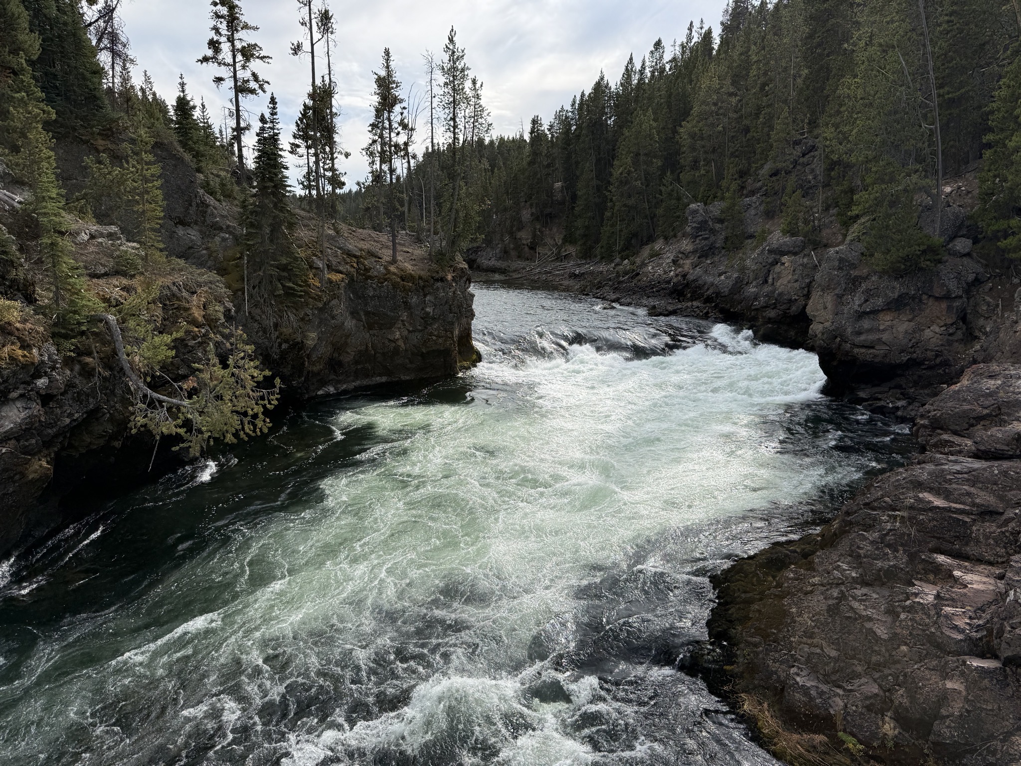 Grand Canyon of Yellowstone