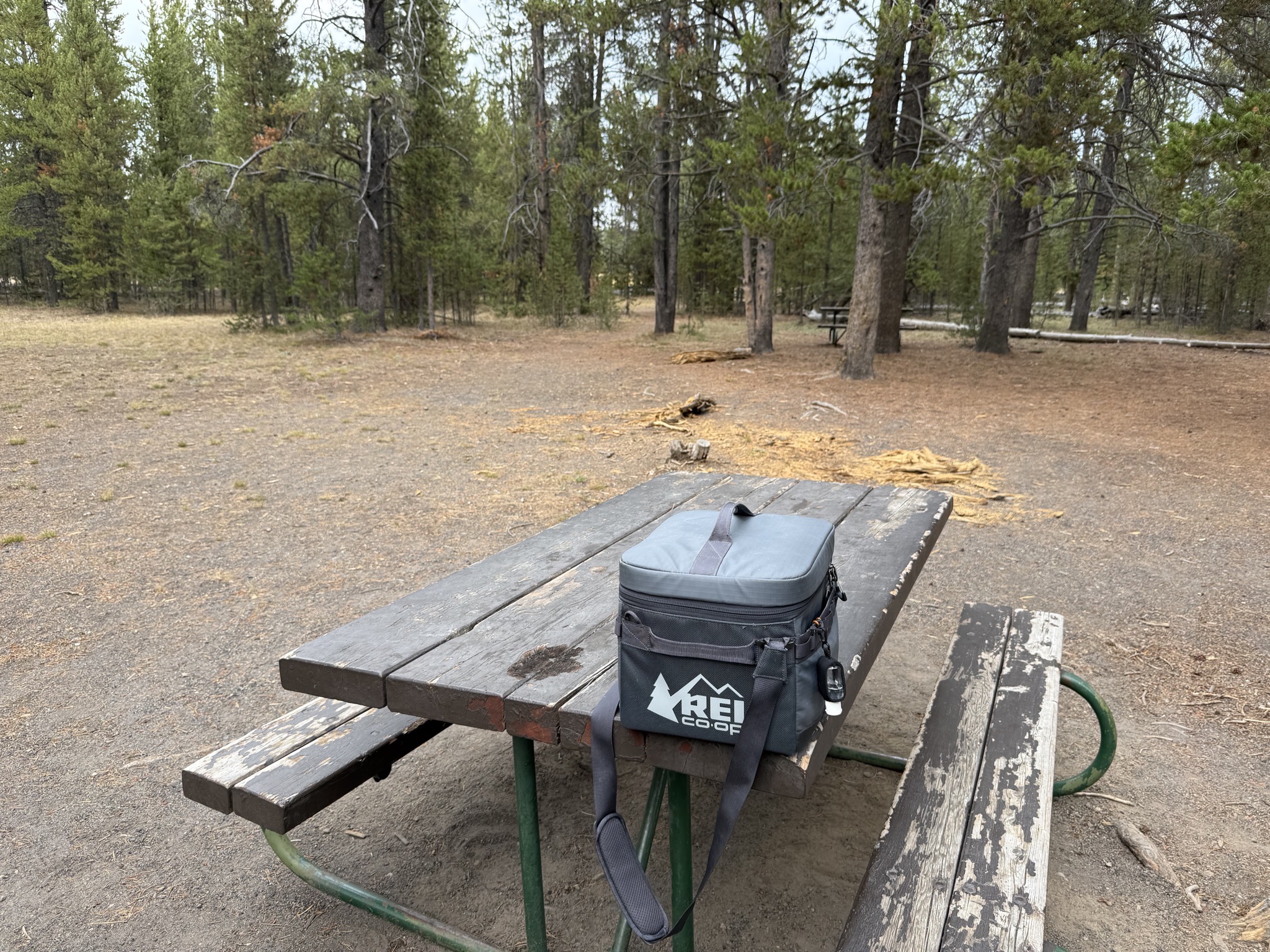 Picnic dinner at the Norris Meadows Picnic Area