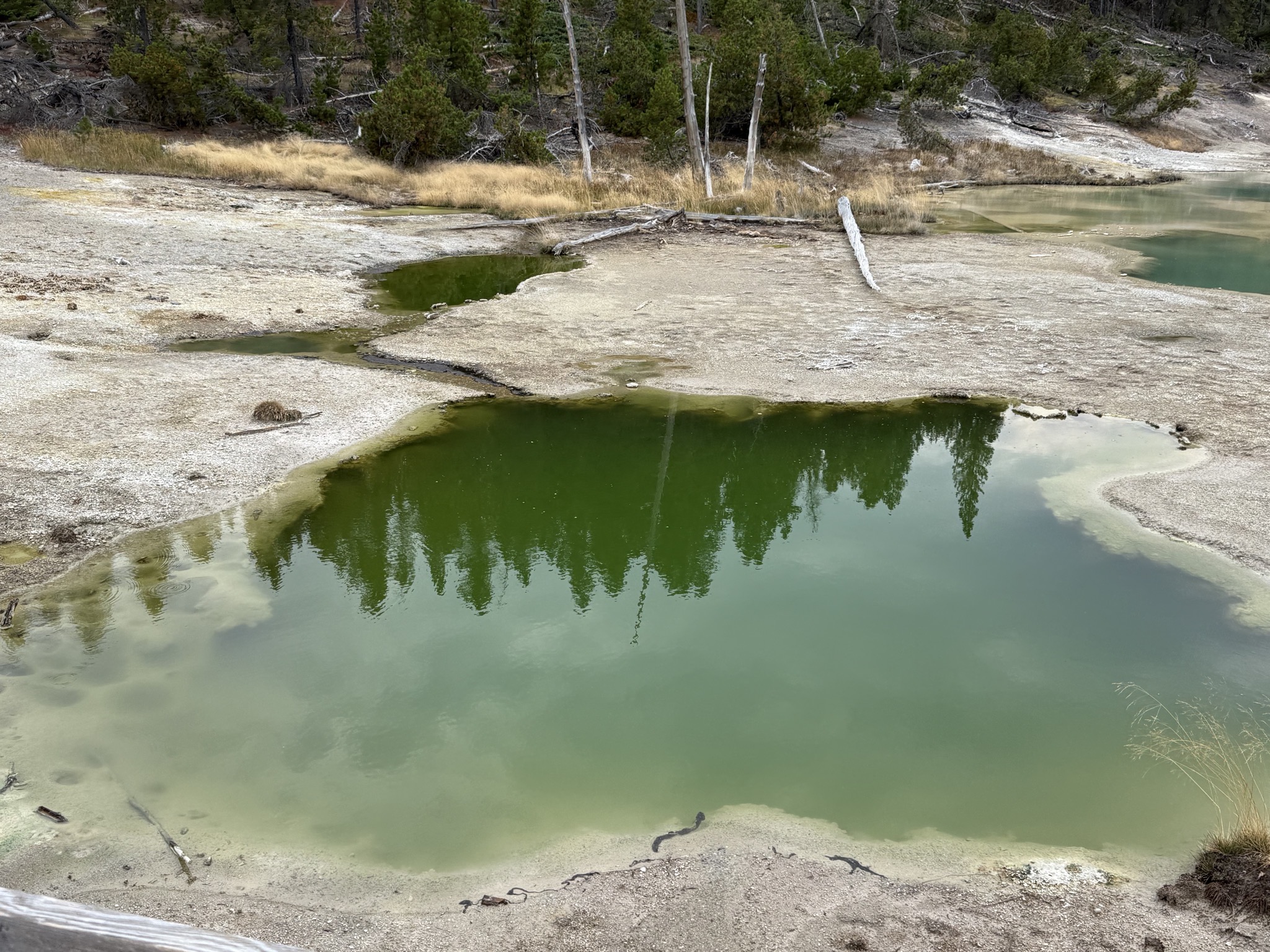Norris Geyser Basin